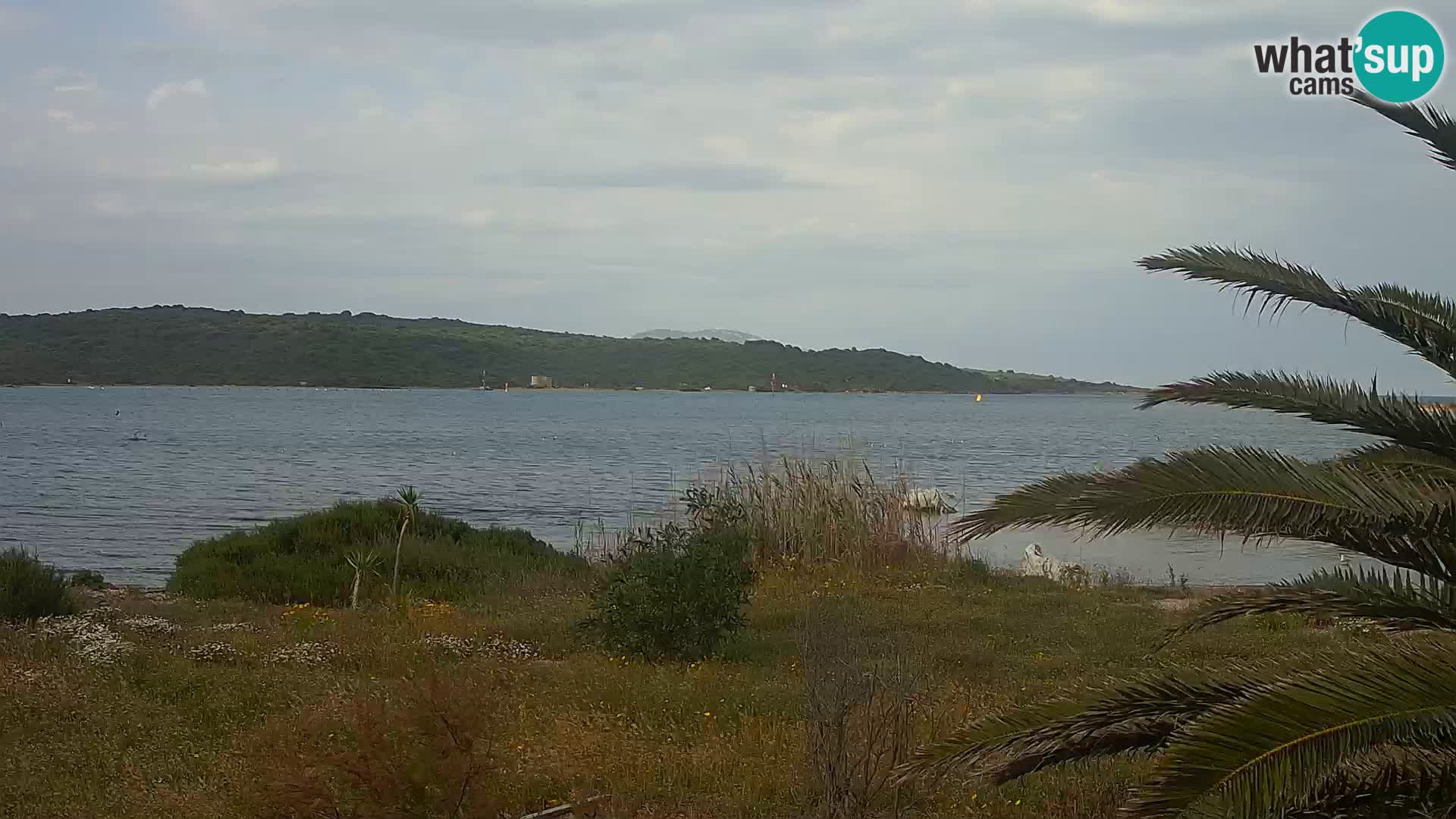 Webcam Olbia port – entrance to the port of Olbia