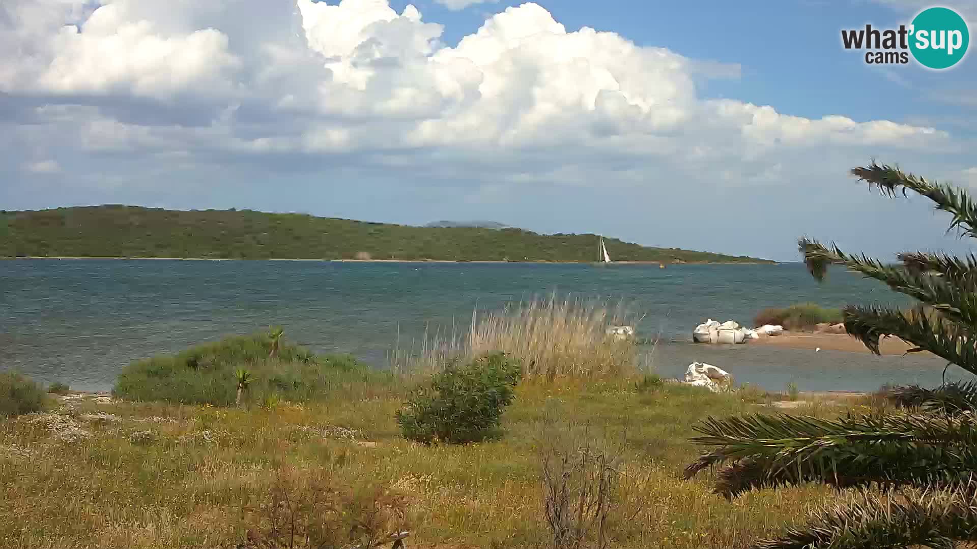Camera web puerto de Olbia – entrada al puerto de Olbia
