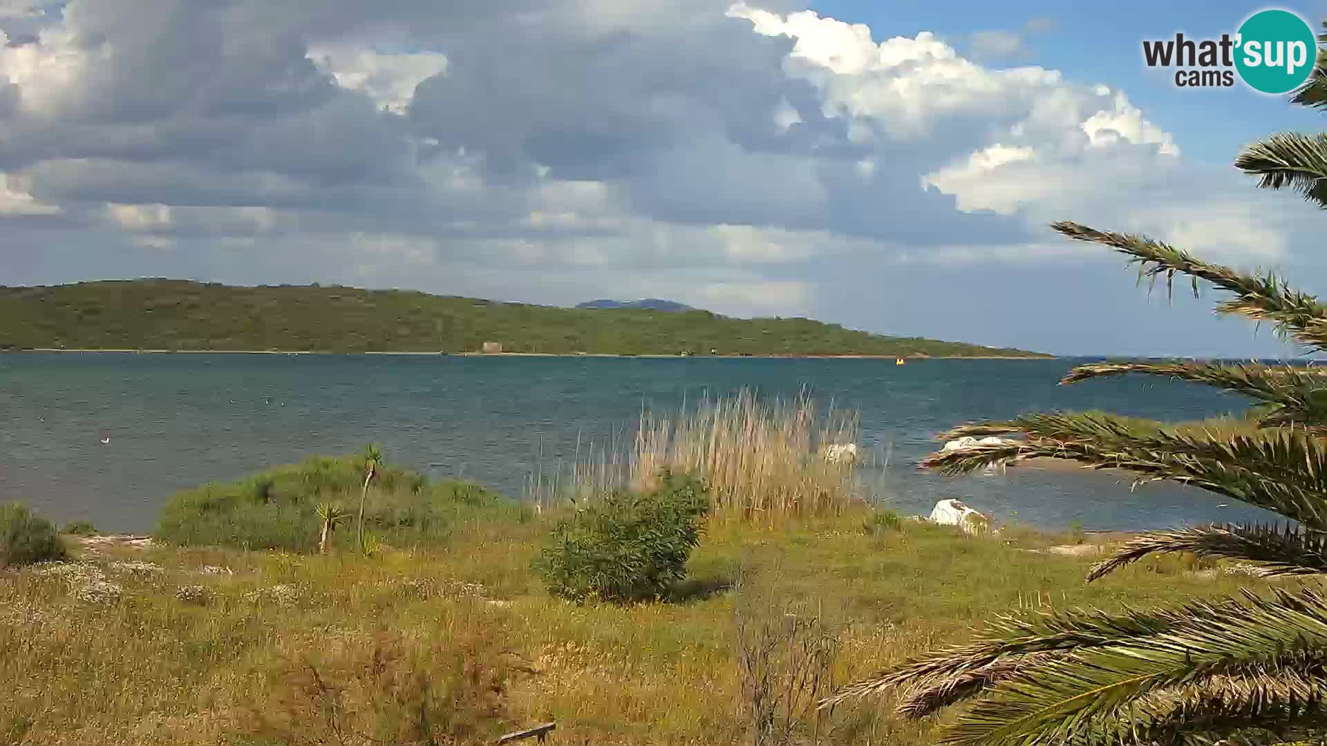 Webcam Olbia port – entrance to the port of Olbia