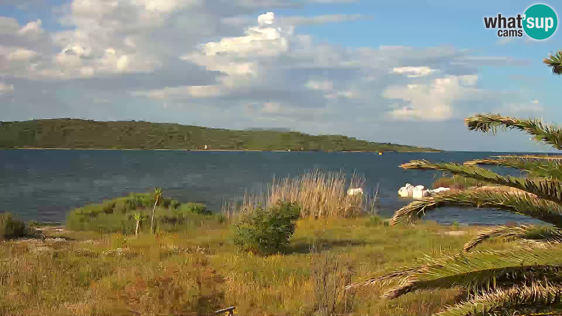 Webcam Olbia port – entrance to the port of Olbia