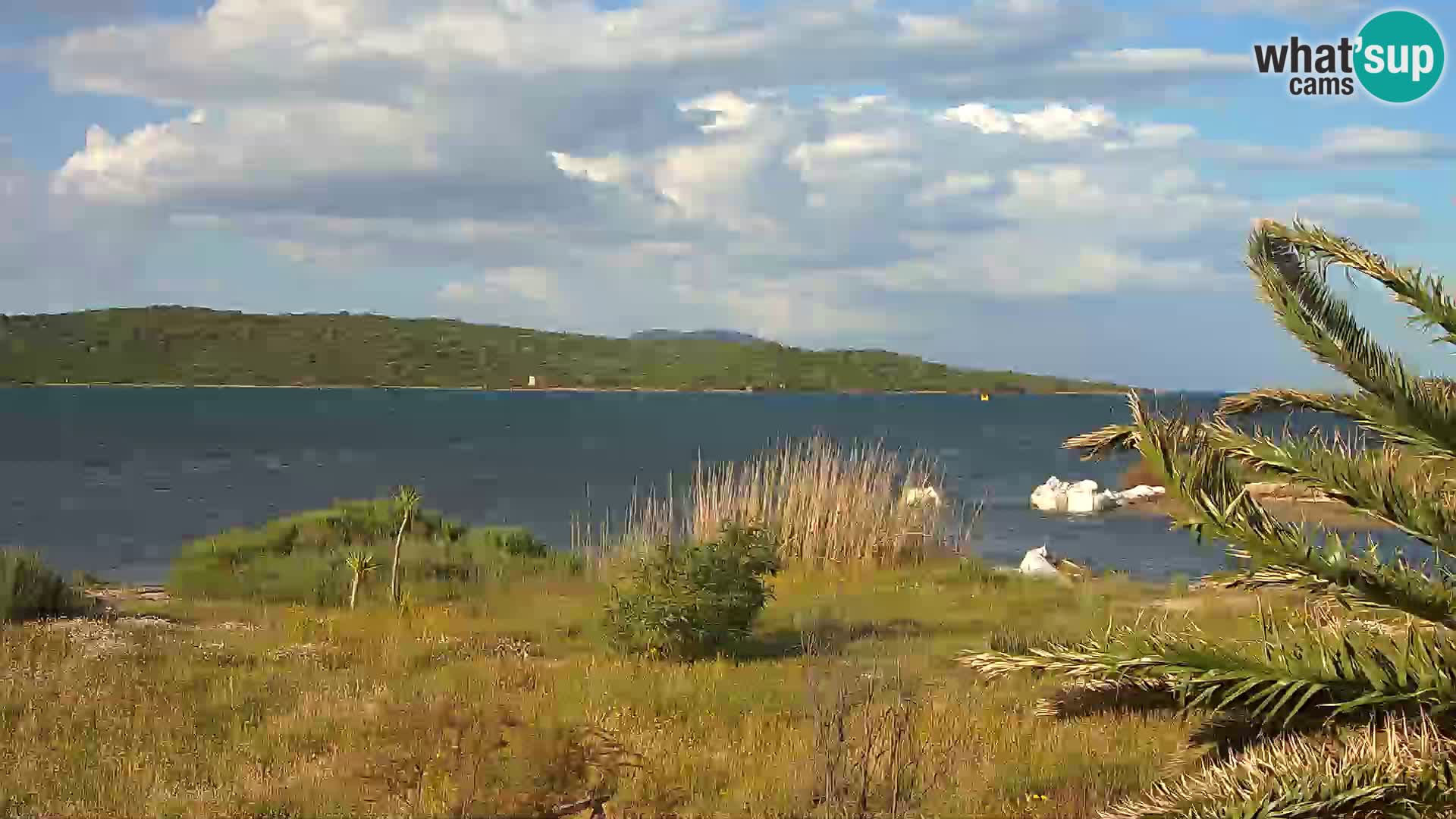 Webcam Hafen Olbia – Eingang zum Hafen von Olbia