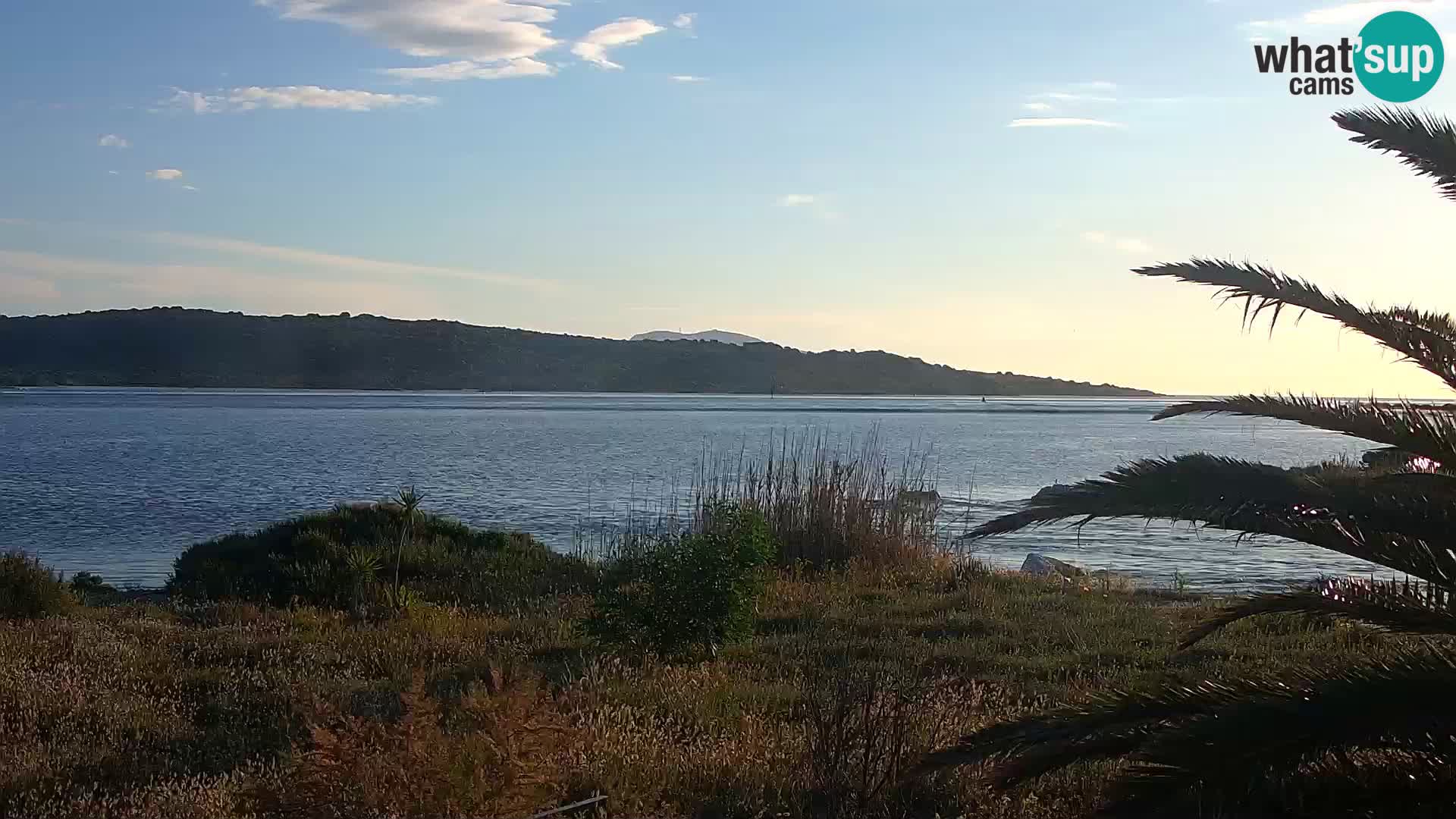 Web kamera Olbia luka – ulaz u luku Olbia