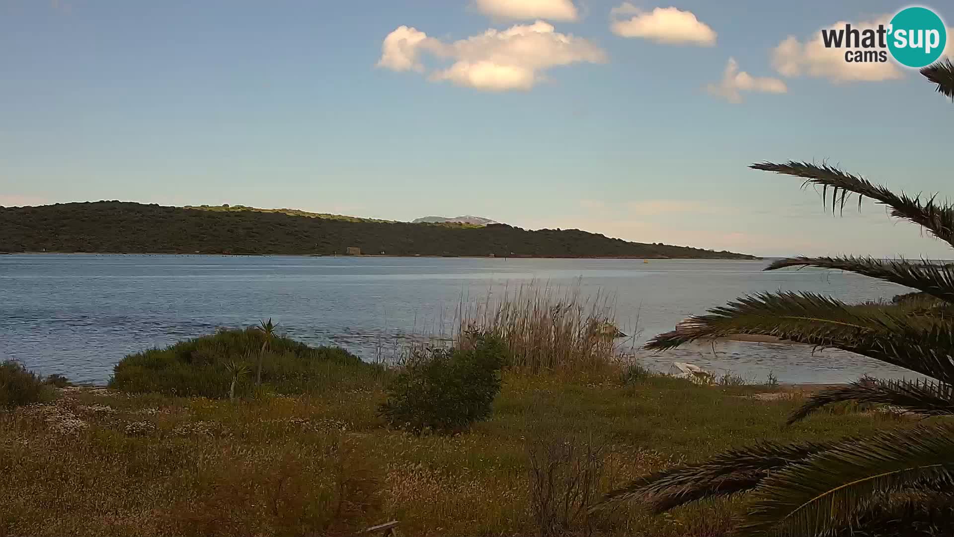 Webcam port d’Olbia – entrée du port d’Olbia