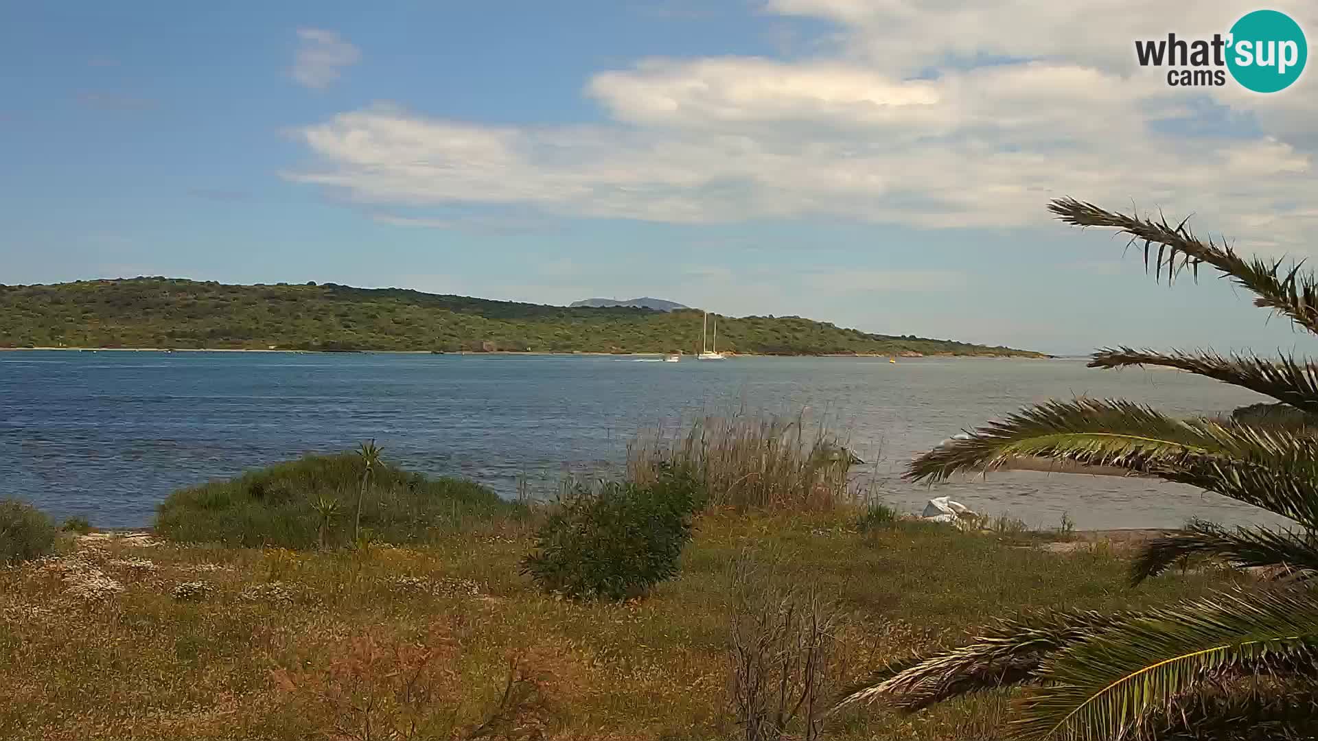Camera web puerto de Olbia – entrada al puerto de Olbia