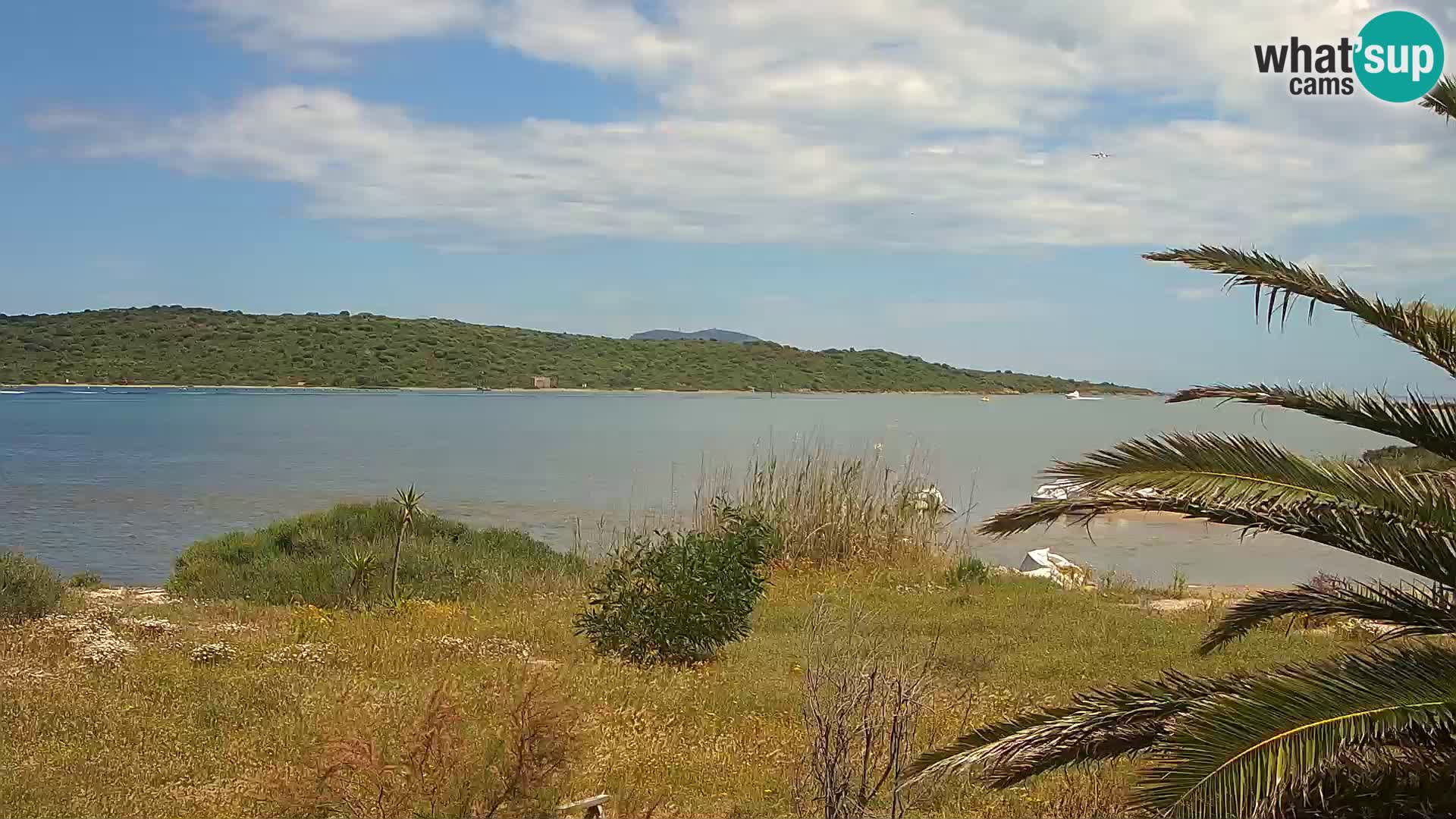 Camera web puerto de Olbia – entrada al puerto de Olbia