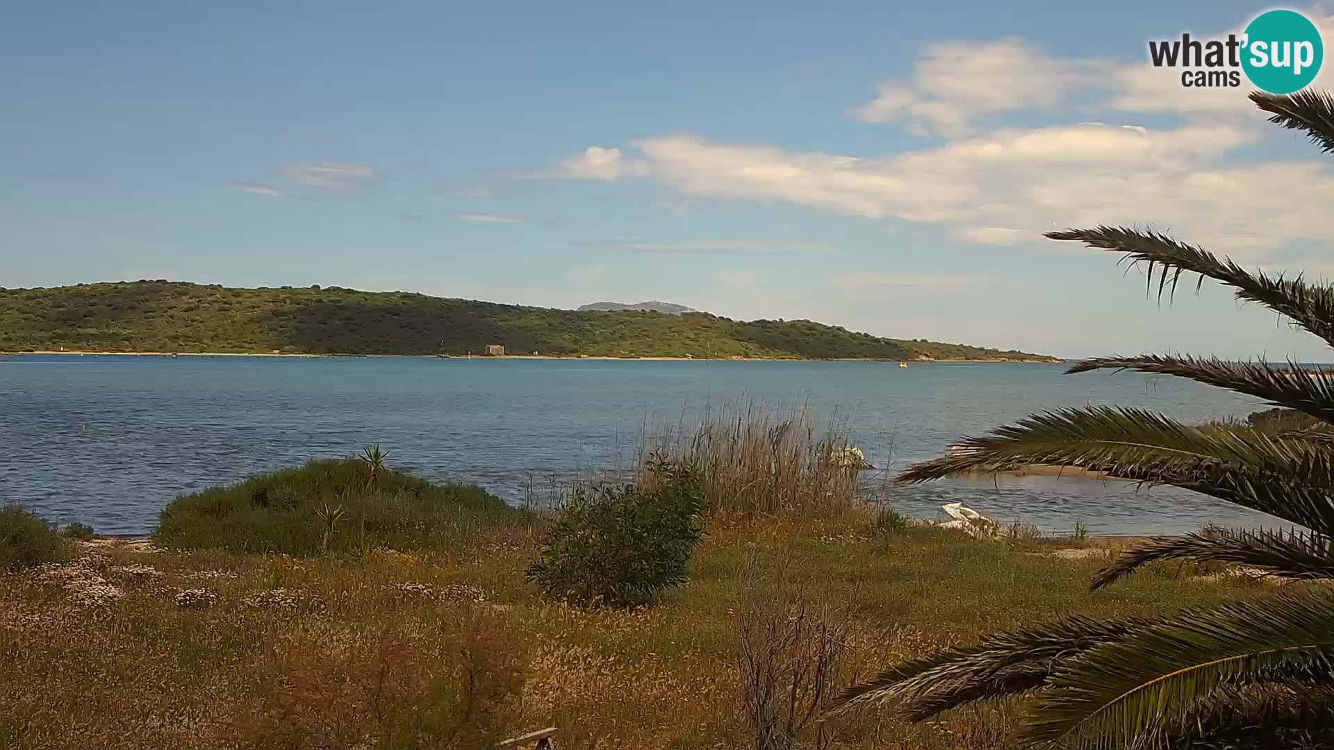 Camera web puerto de Olbia – entrada al puerto de Olbia