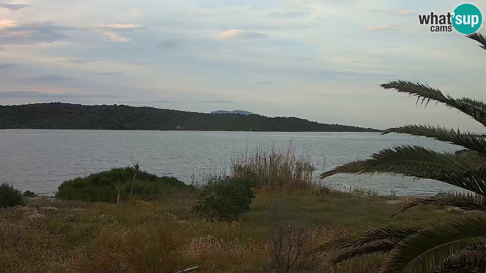 Webcam Hafen Olbia – Eingang zum Hafen von Olbia