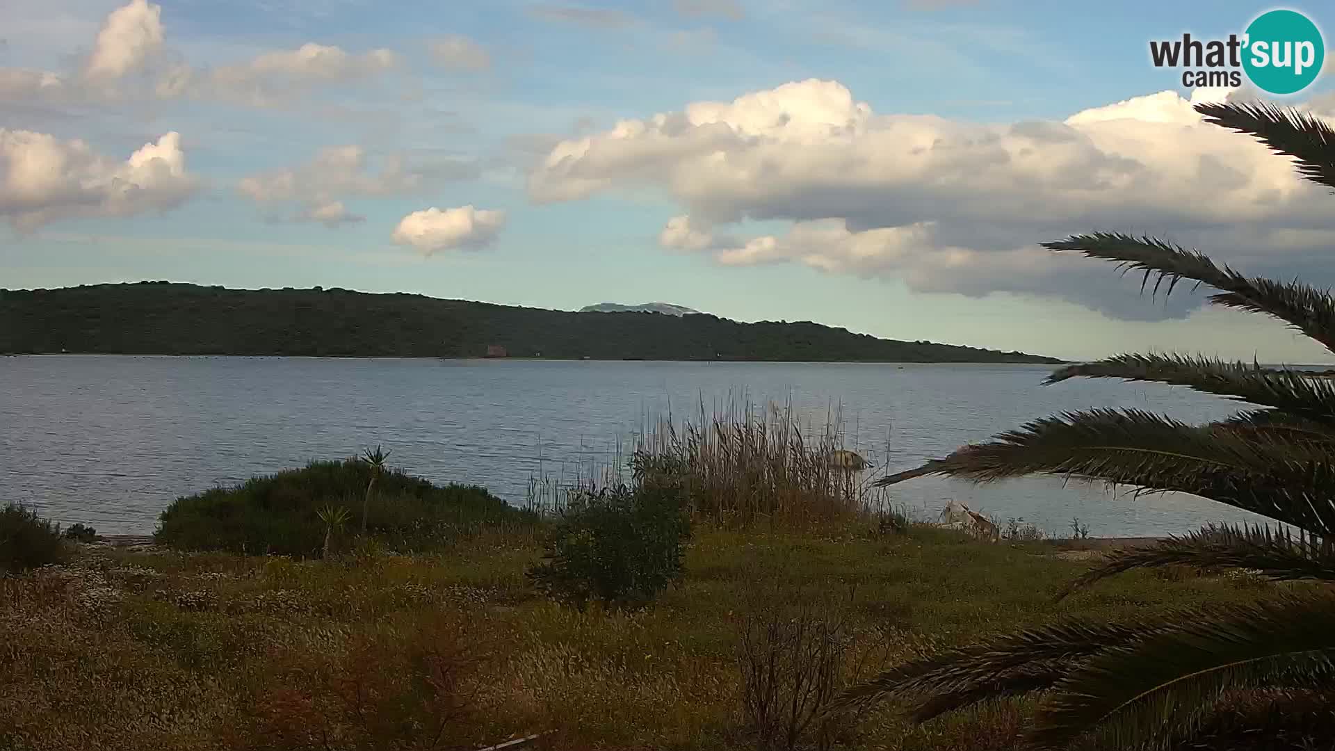 Webcam porto di Olbia – entrata nel porto di Olbia