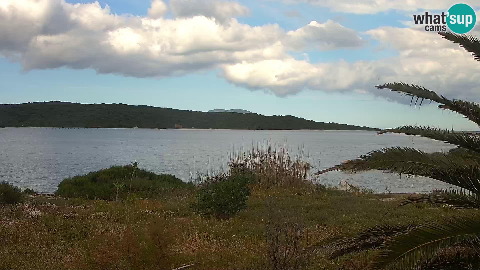 Webcam porto di Olbia – entrata nel porto di Olbia