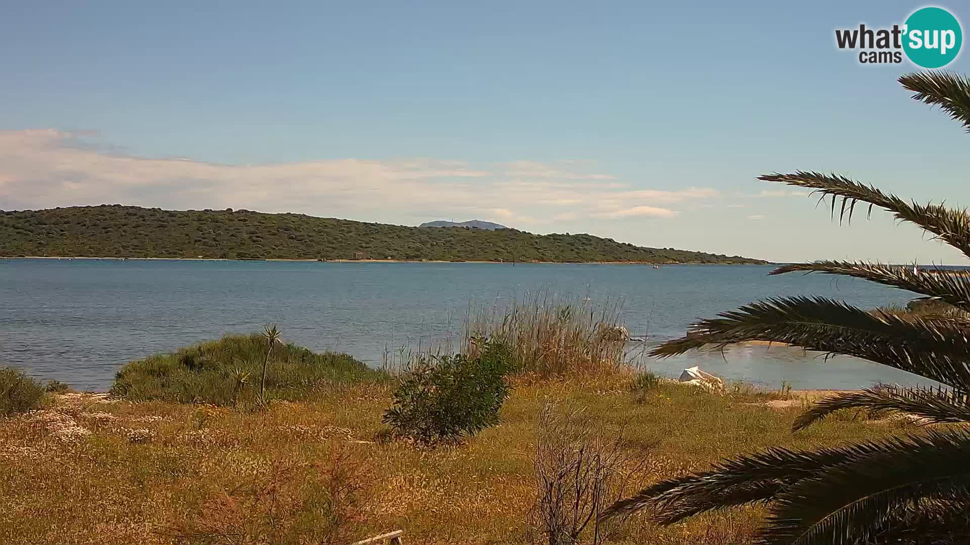 Web kamera Olbia luka – ulaz u luku Olbia