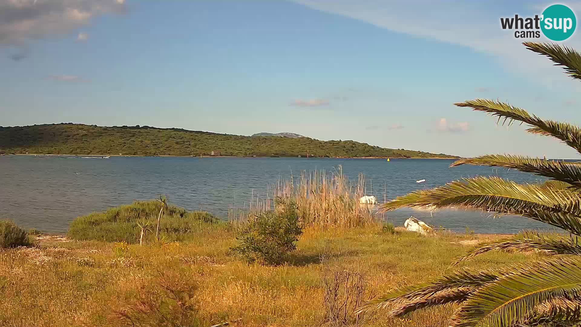 Webcam port d’Olbia – entrée du port d’Olbia