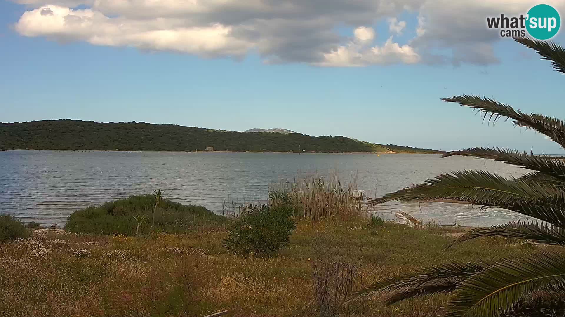 Webcam Olbia port – entrance to the port of Olbia