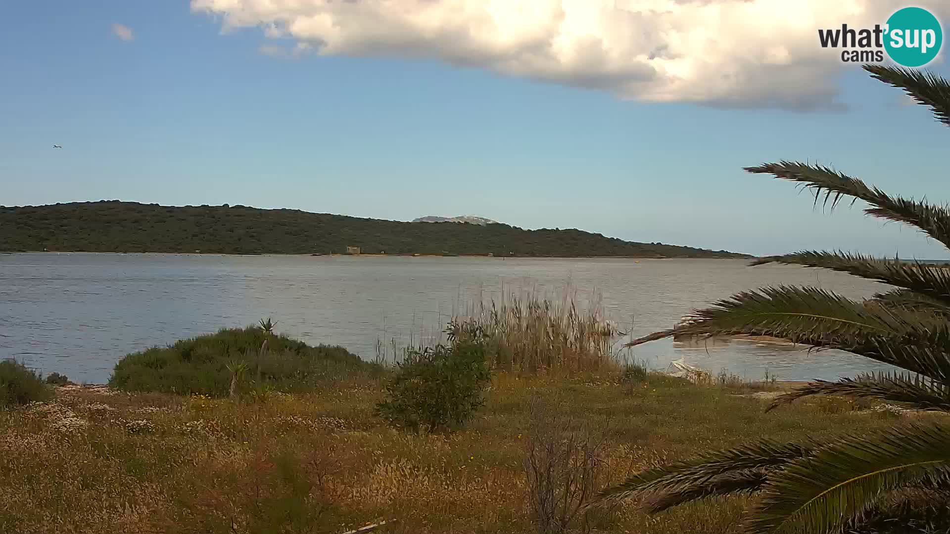 Webcam Olbia port – entrance to the port of Olbia