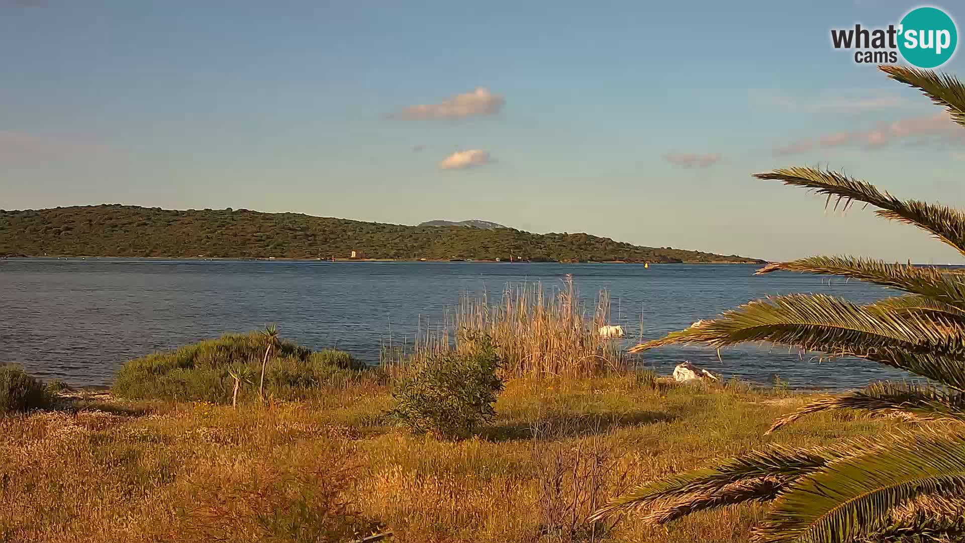 Webcam porto di Olbia – entrata nel porto di Olbia
