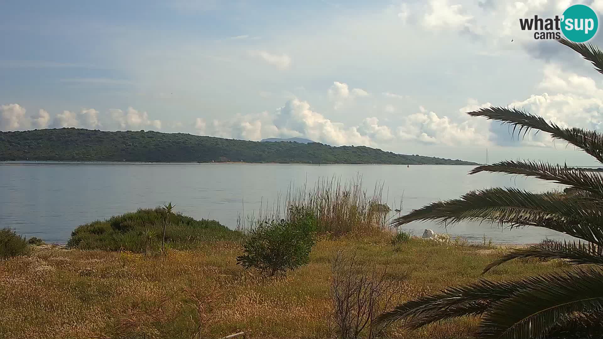 Webcam Hafen Olbia – Eingang zum Hafen von Olbia