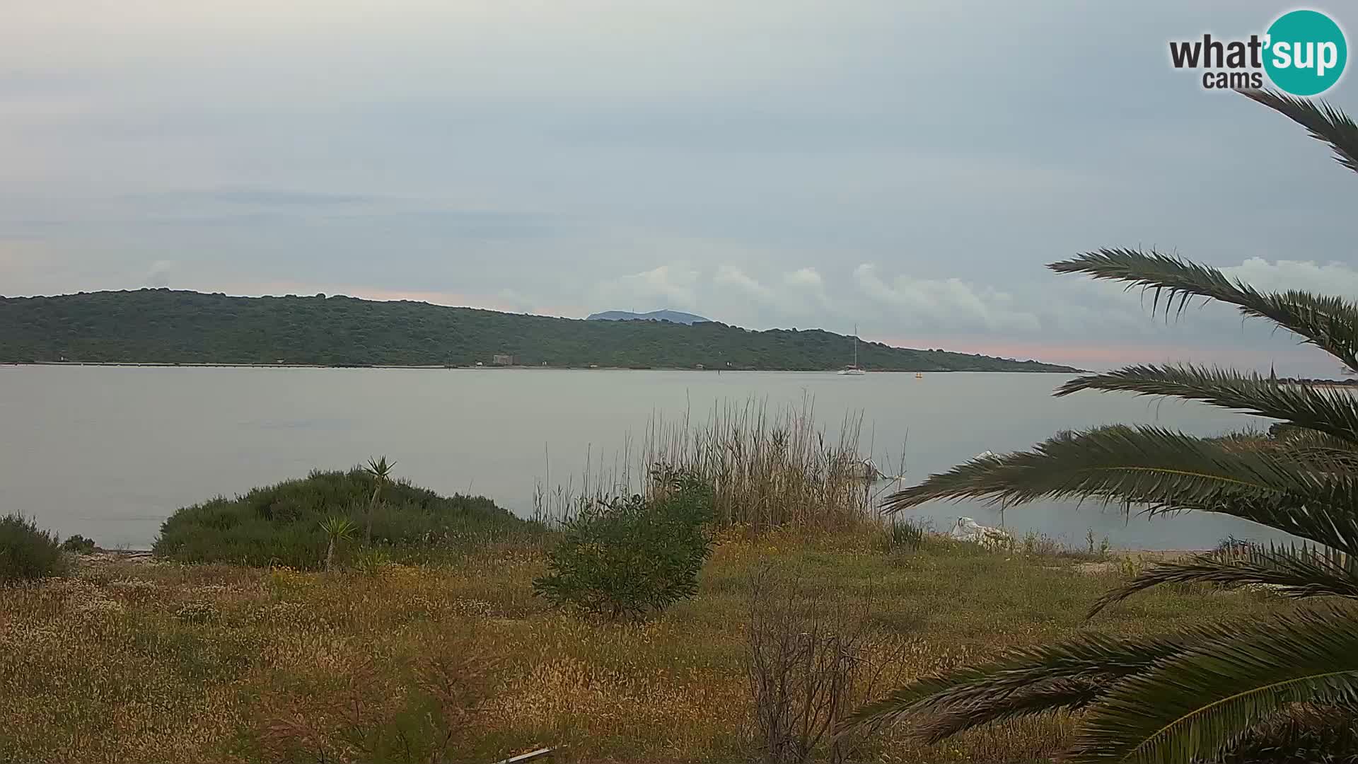 Webcam Olbia port – entrance to the port of Olbia