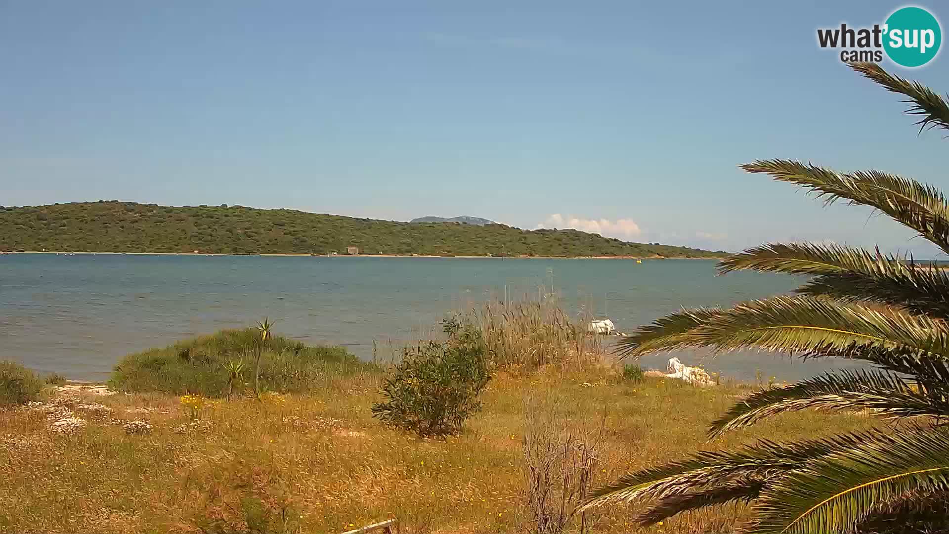 Webcam Hafen Olbia – Eingang zum Hafen von Olbia