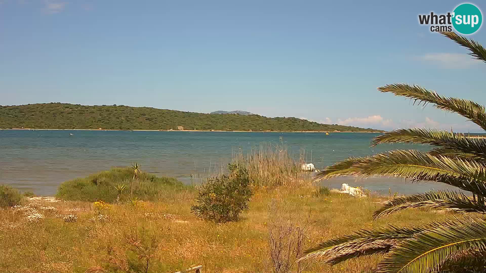 Spletna kamera pristanišče Olbia – vhod v pristanišče Olbia