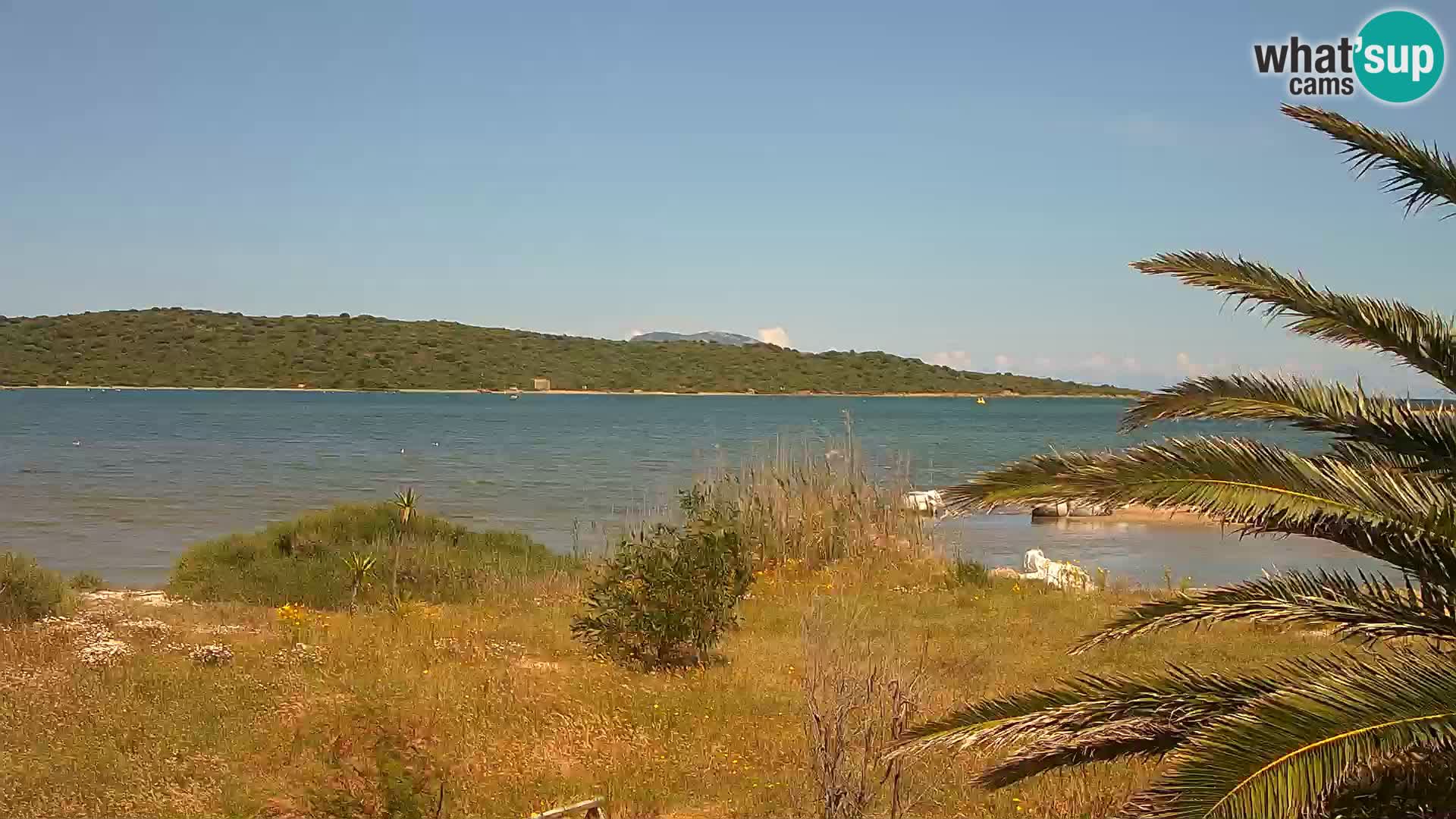 Web kamera Olbia luka – ulaz u luku Olbia