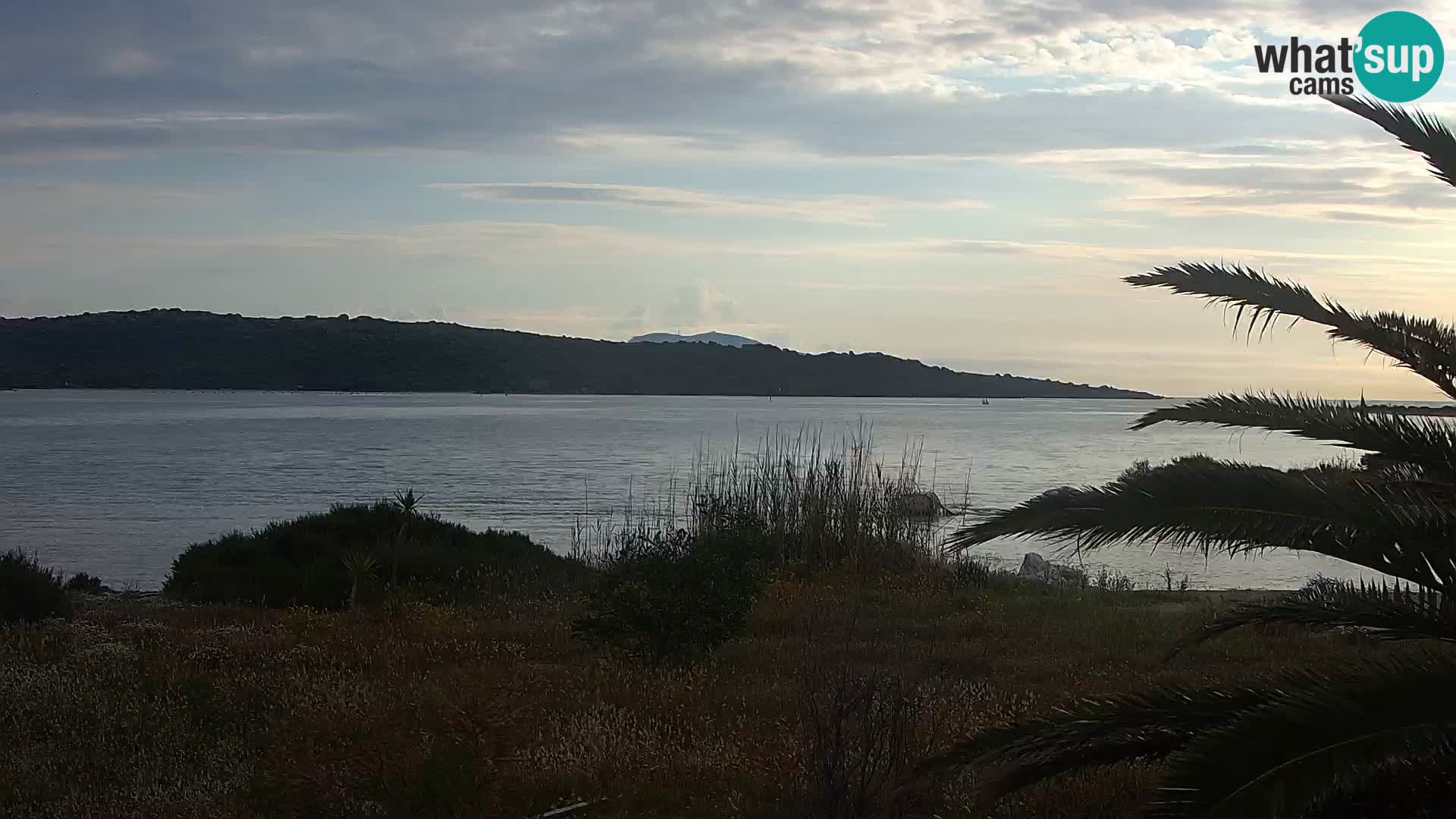Camera web puerto de Olbia – entrada al puerto de Olbia