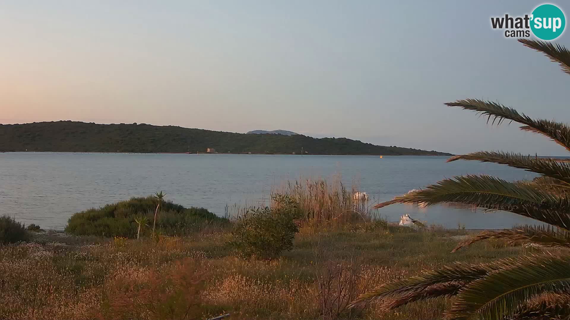 Webcam Olbia port – entrance to the port of Olbia