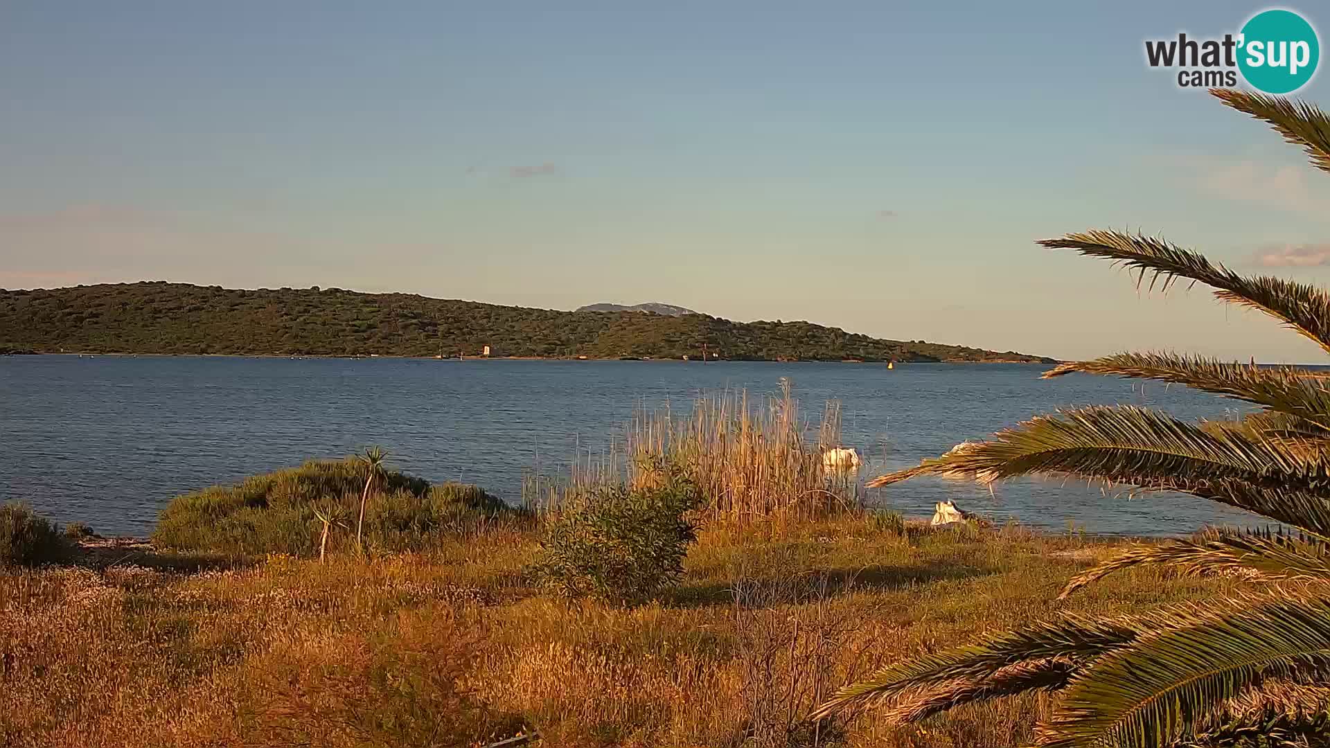 Webcam porto di Olbia – entrata nel porto di Olbia