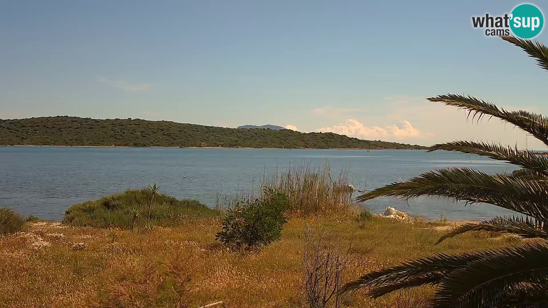 Webcam porto di Olbia – entrata nel porto di Olbia