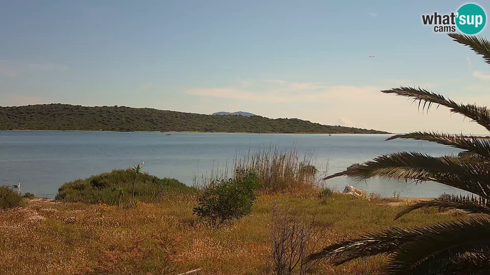 Webcam Hafen Olbia – Eingang zum Hafen von Olbia