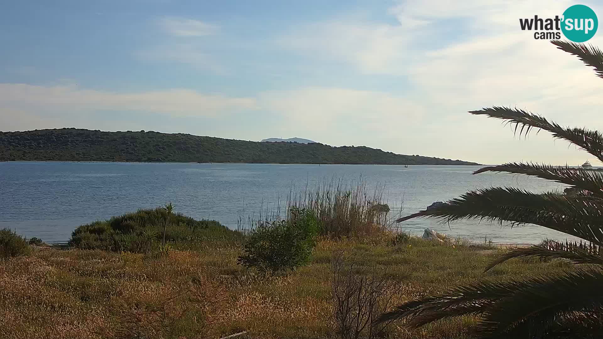 Webcam porto di Olbia – entrata nel porto di Olbia