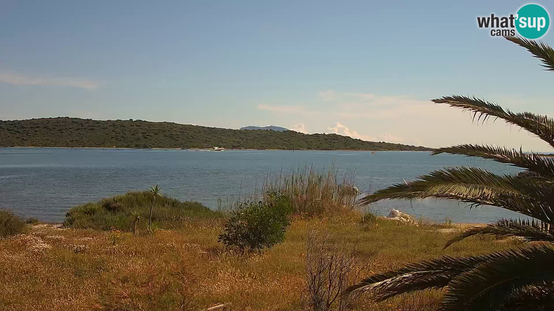 Camera web puerto de Olbia – entrada al puerto de Olbia