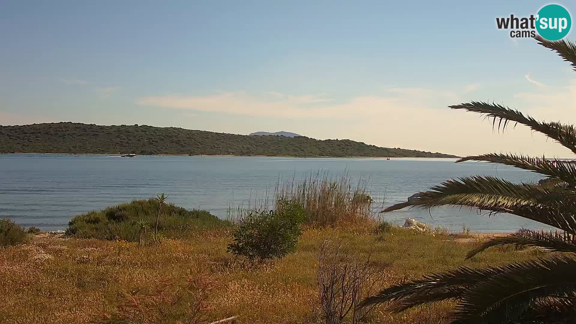 Camera web puerto de Olbia – entrada al puerto de Olbia