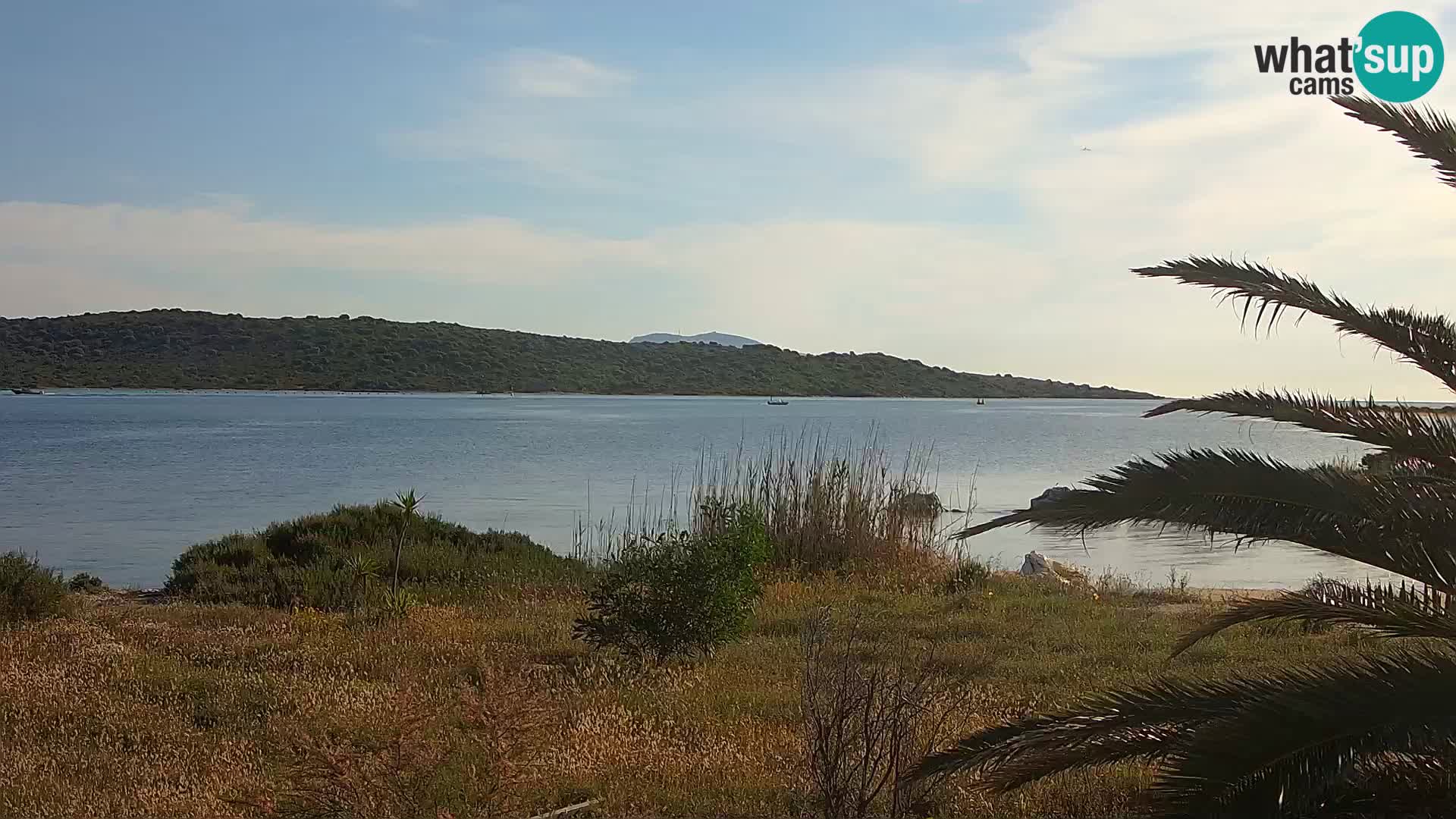 Webcam port d’Olbia – entrée du port d’Olbia