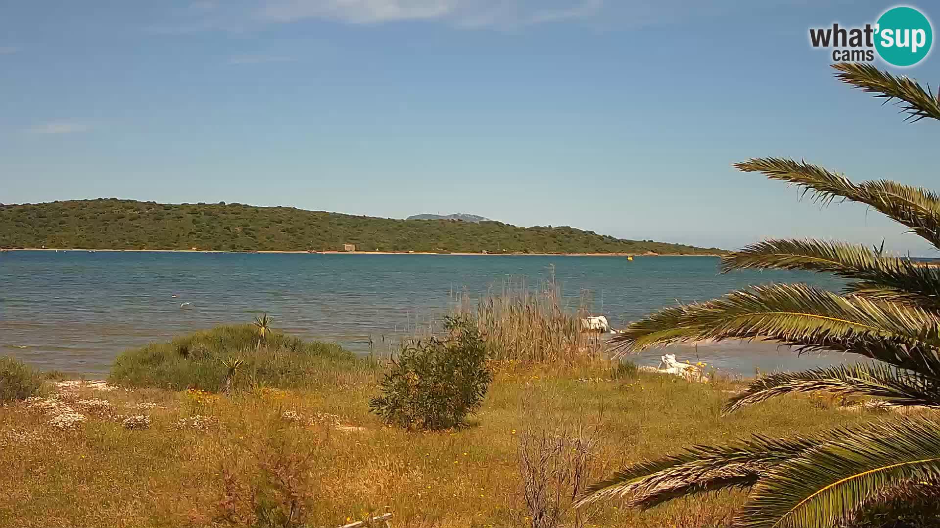 Webcam Hafen Olbia – Eingang zum Hafen von Olbia