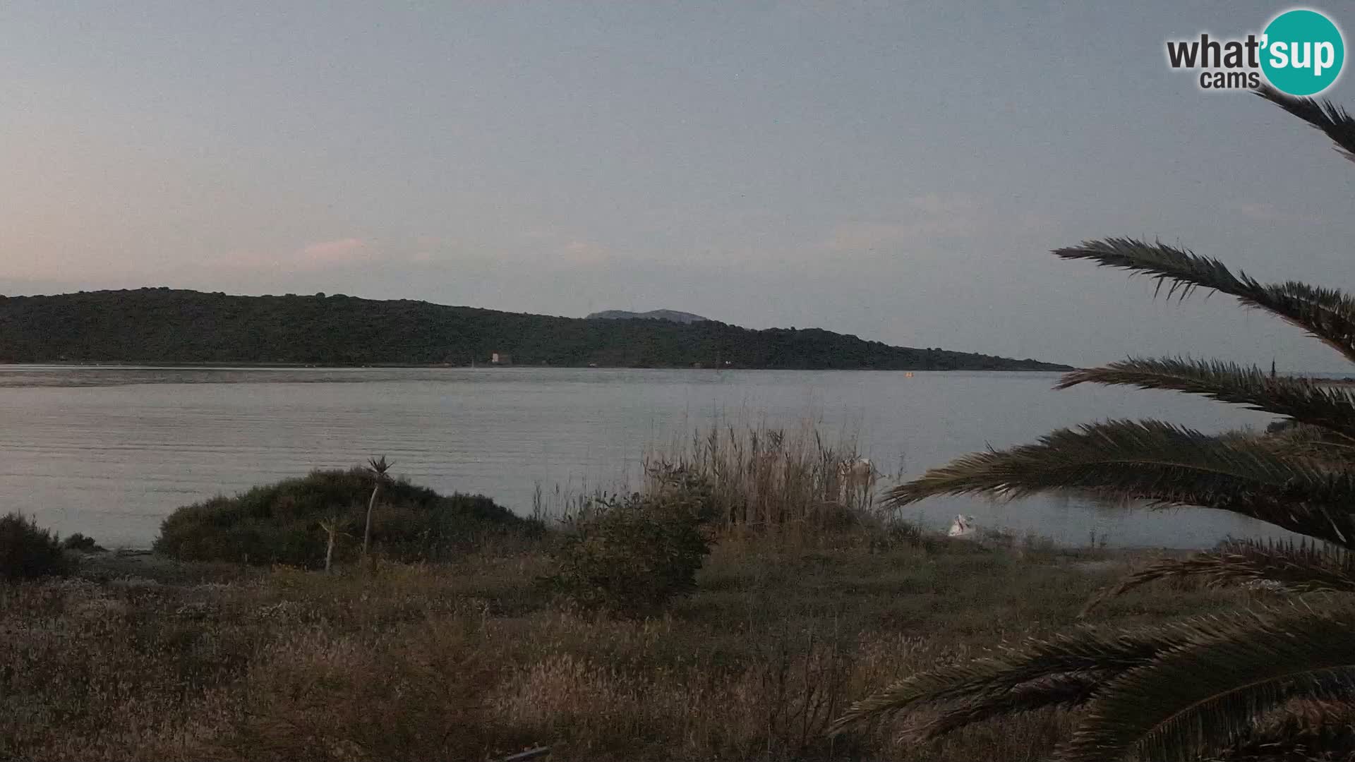 Webcam Hafen Olbia – Eingang zum Hafen von Olbia