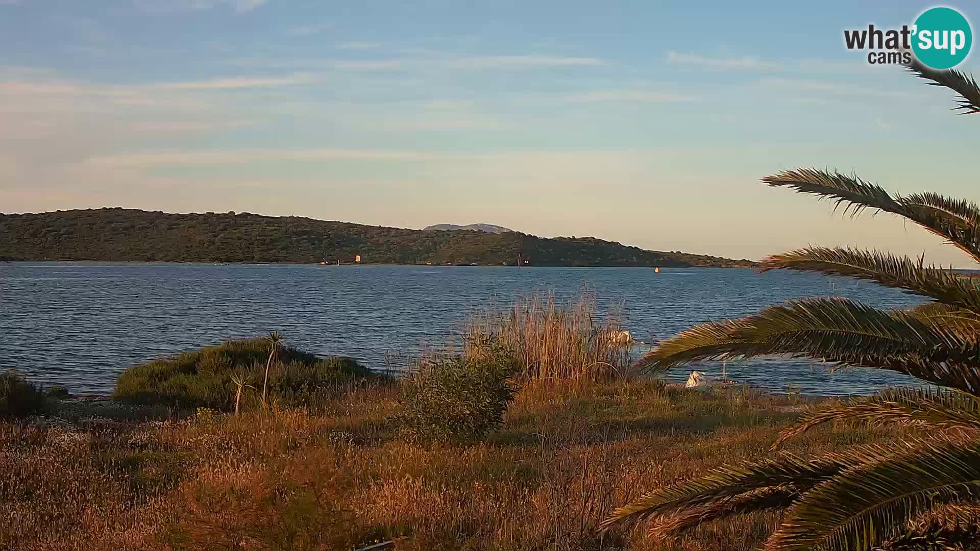 Webcam Olbia port – entrance to the port of Olbia