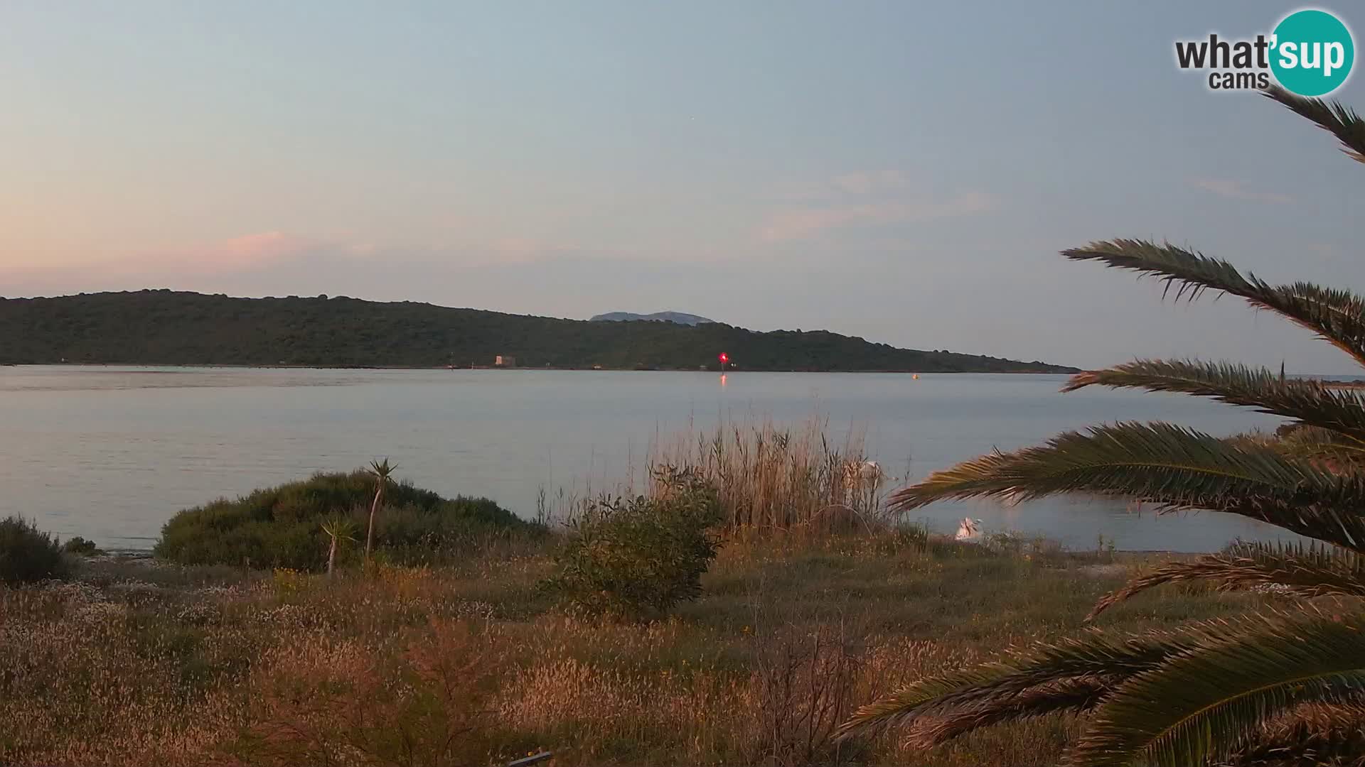 Camera web puerto de Olbia – entrada al puerto de Olbia
