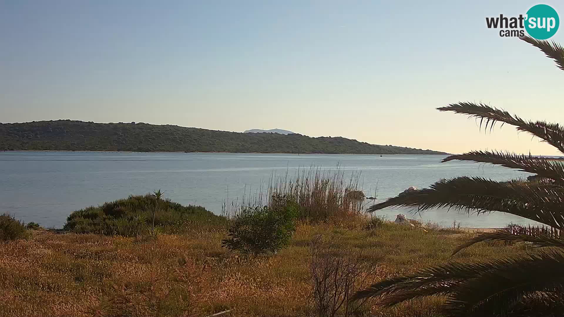 Webcam Olbia port – entrance to the port of Olbia