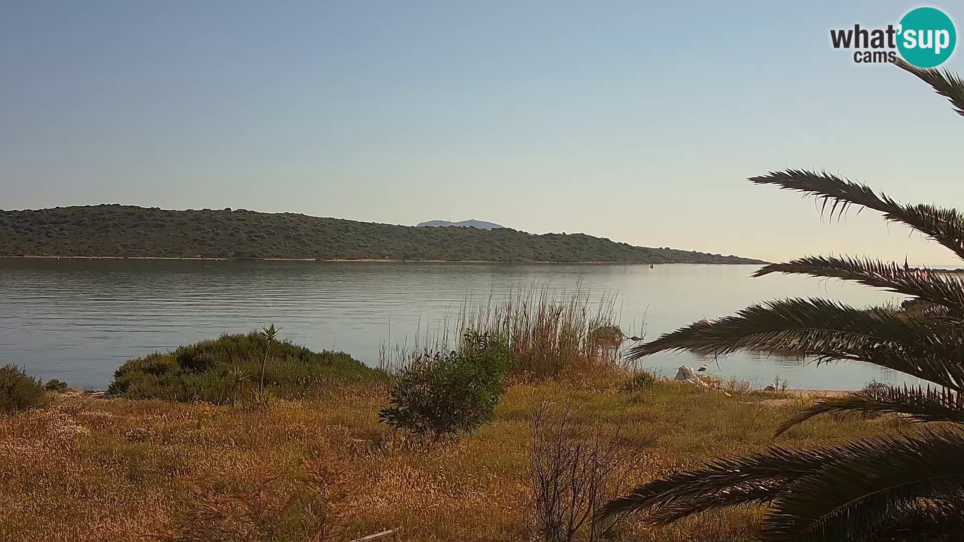 Webcam Olbia port – entrance to the port of Olbia