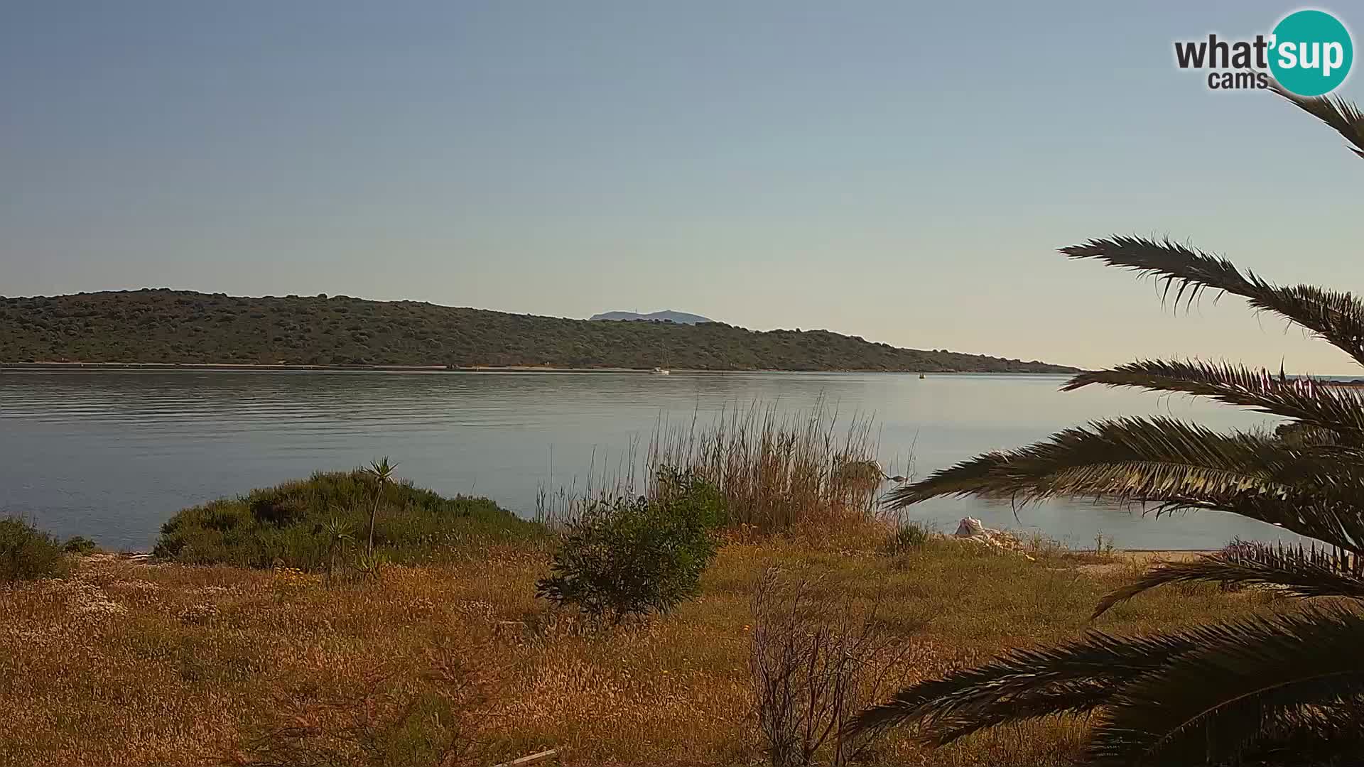 Webcam Olbia port – entrance to the port of Olbia