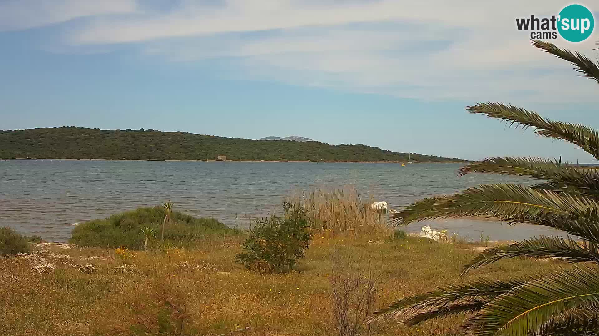 Camera web puerto de Olbia – entrada al puerto de Olbia