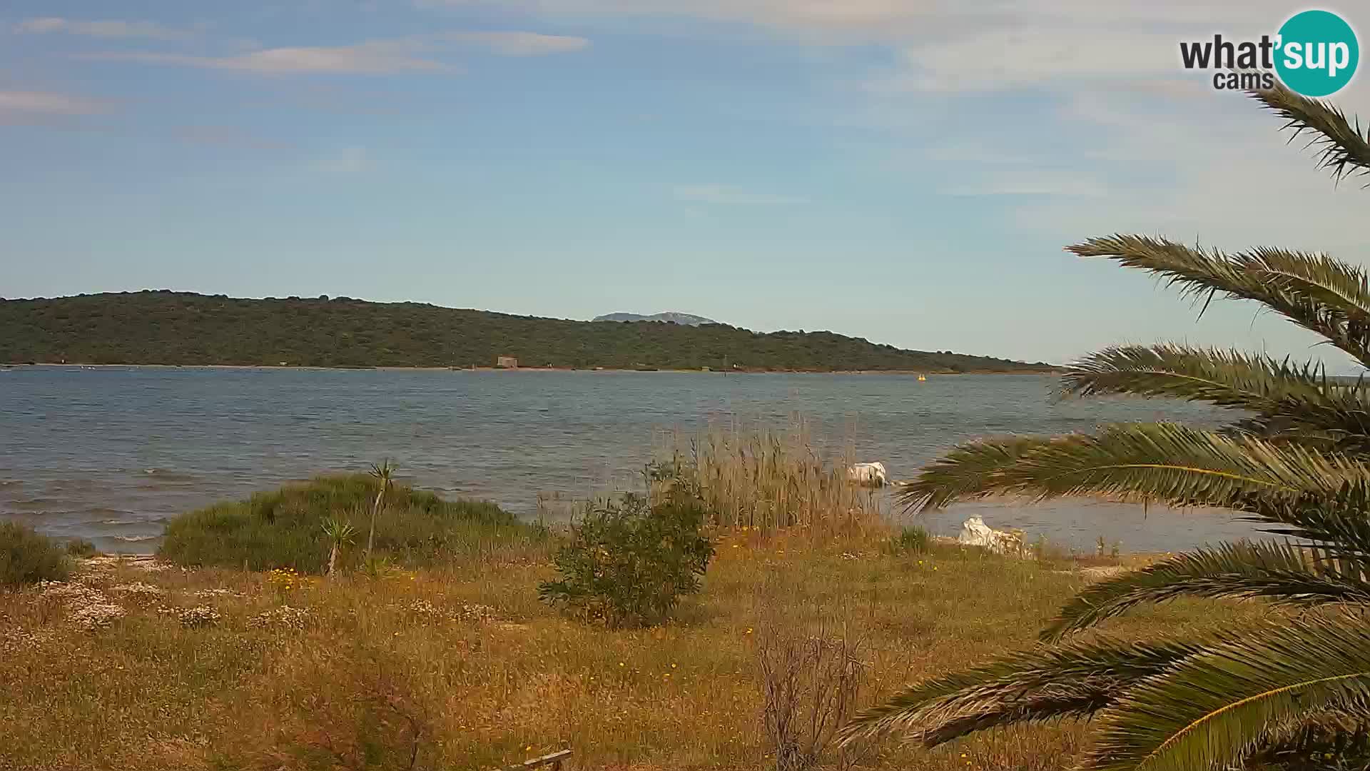 Webcam Hafen Olbia – Eingang zum Hafen von Olbia