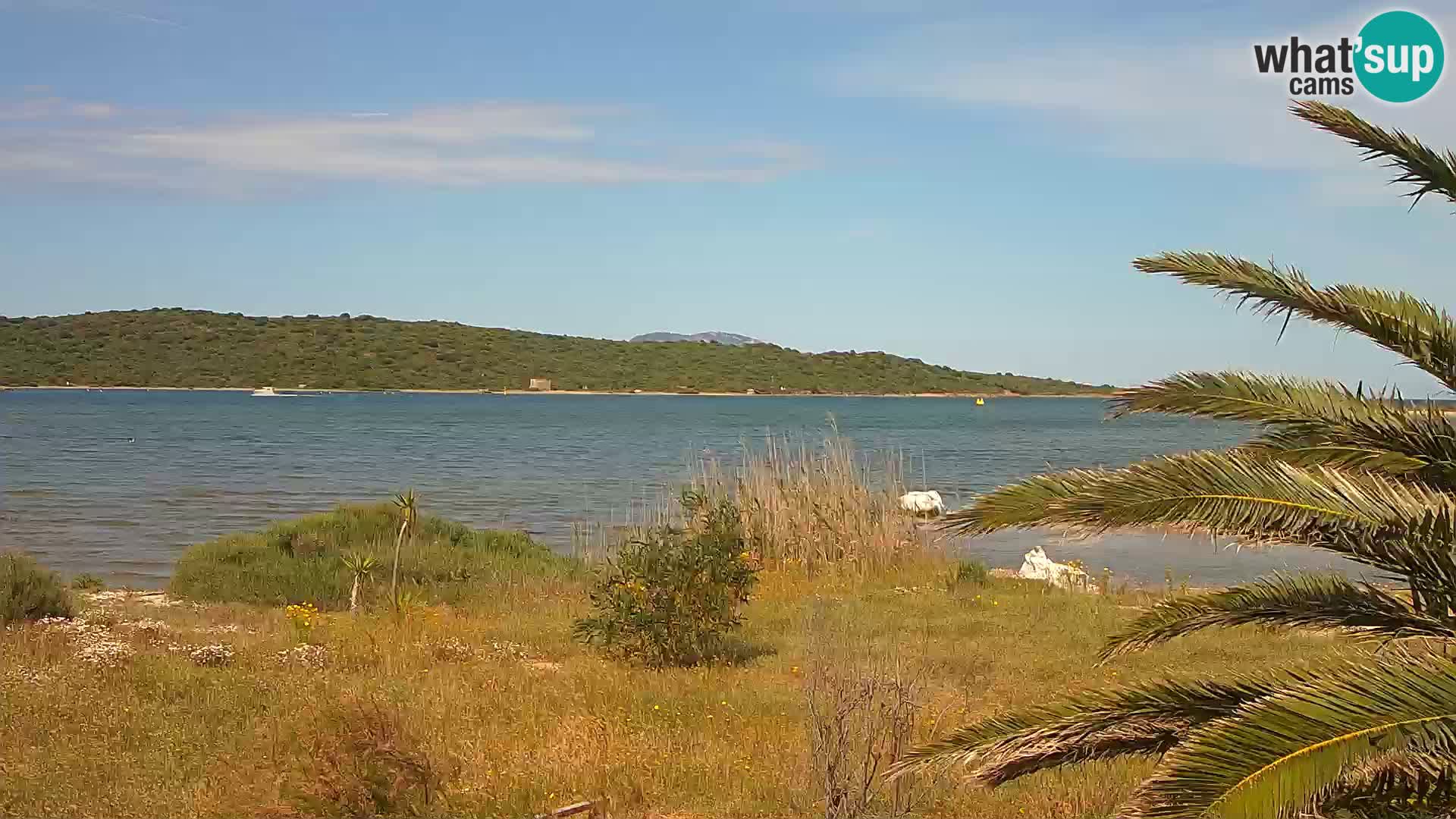 Webcam porto di Olbia – entrata nel porto di Olbia