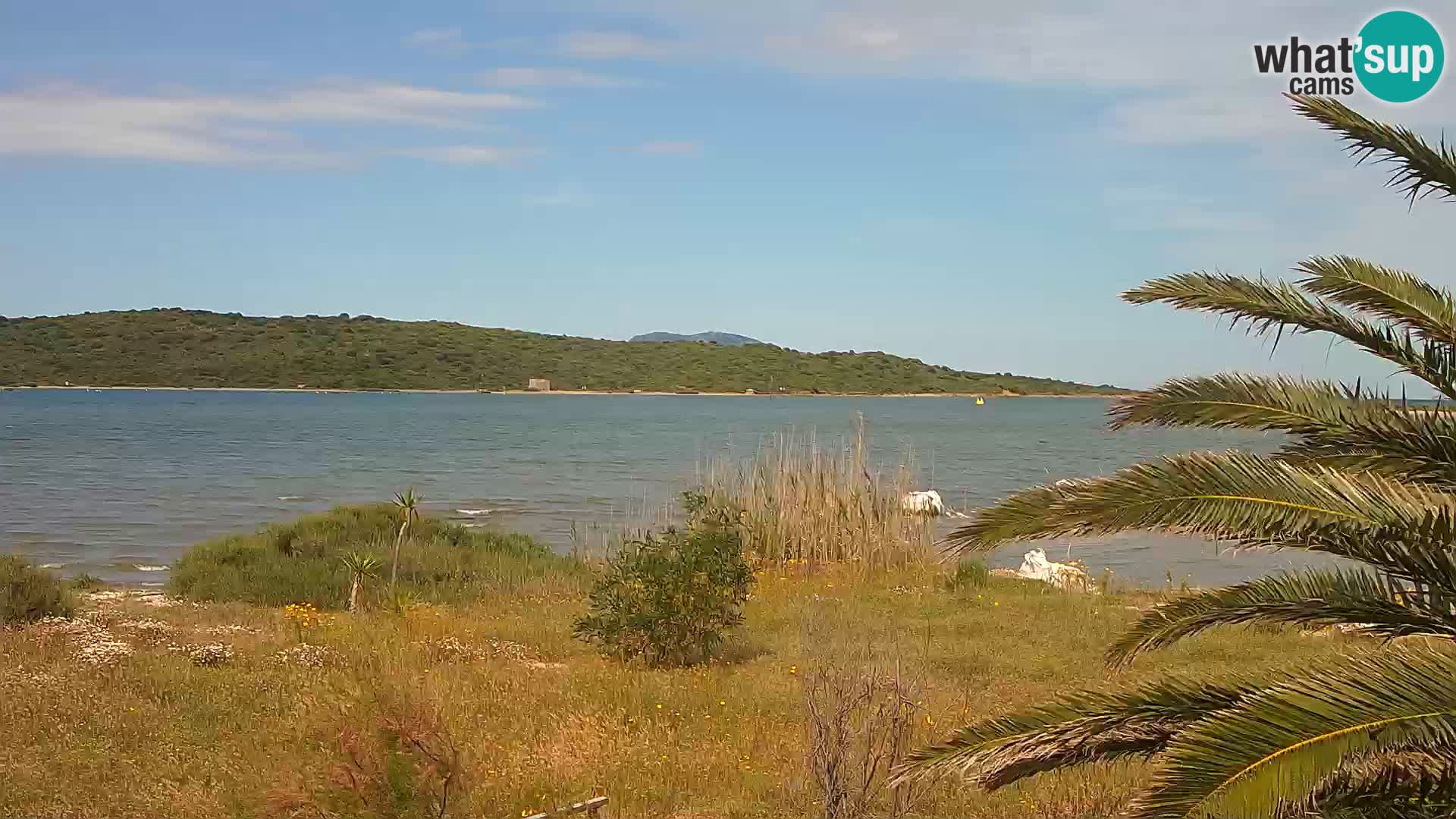Webcam Olbia port – entrance to the port of Olbia