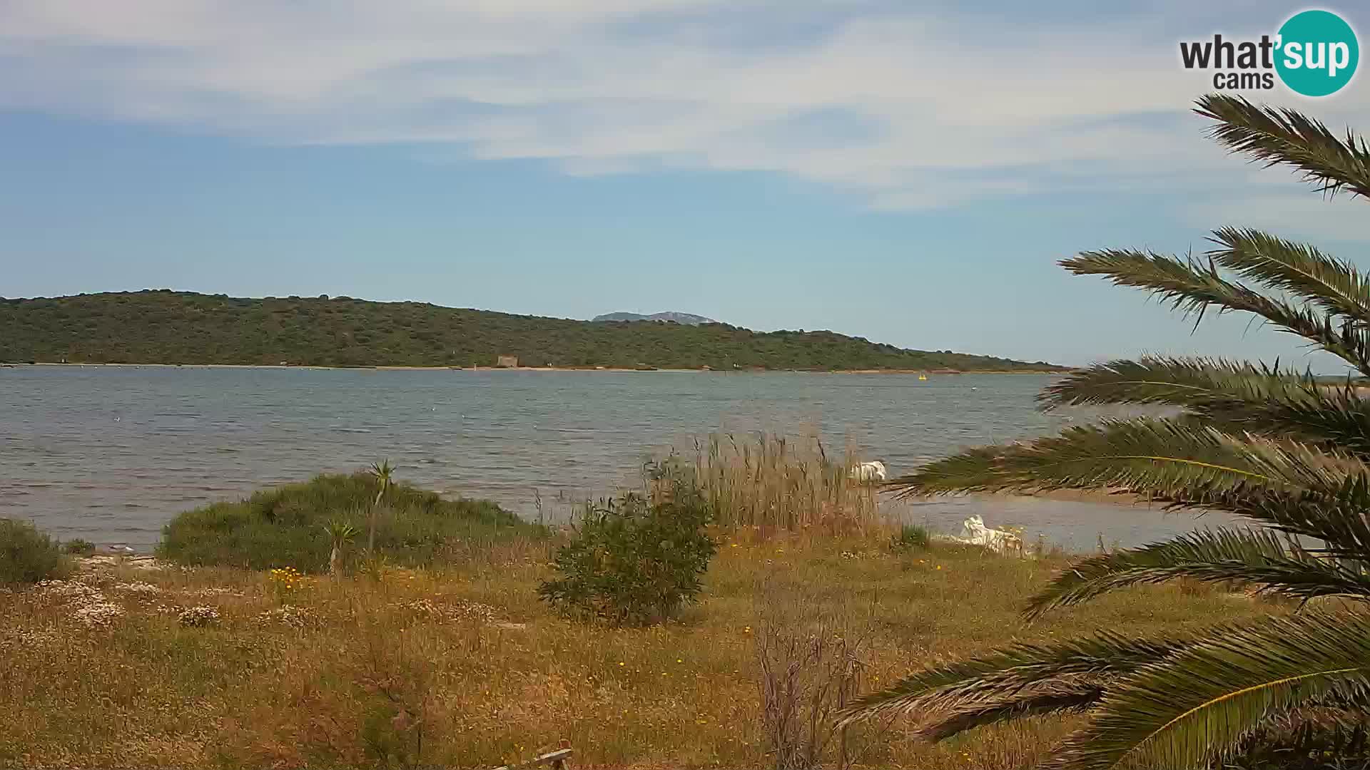 Webcam porto di Olbia – entrata nel porto di Olbia