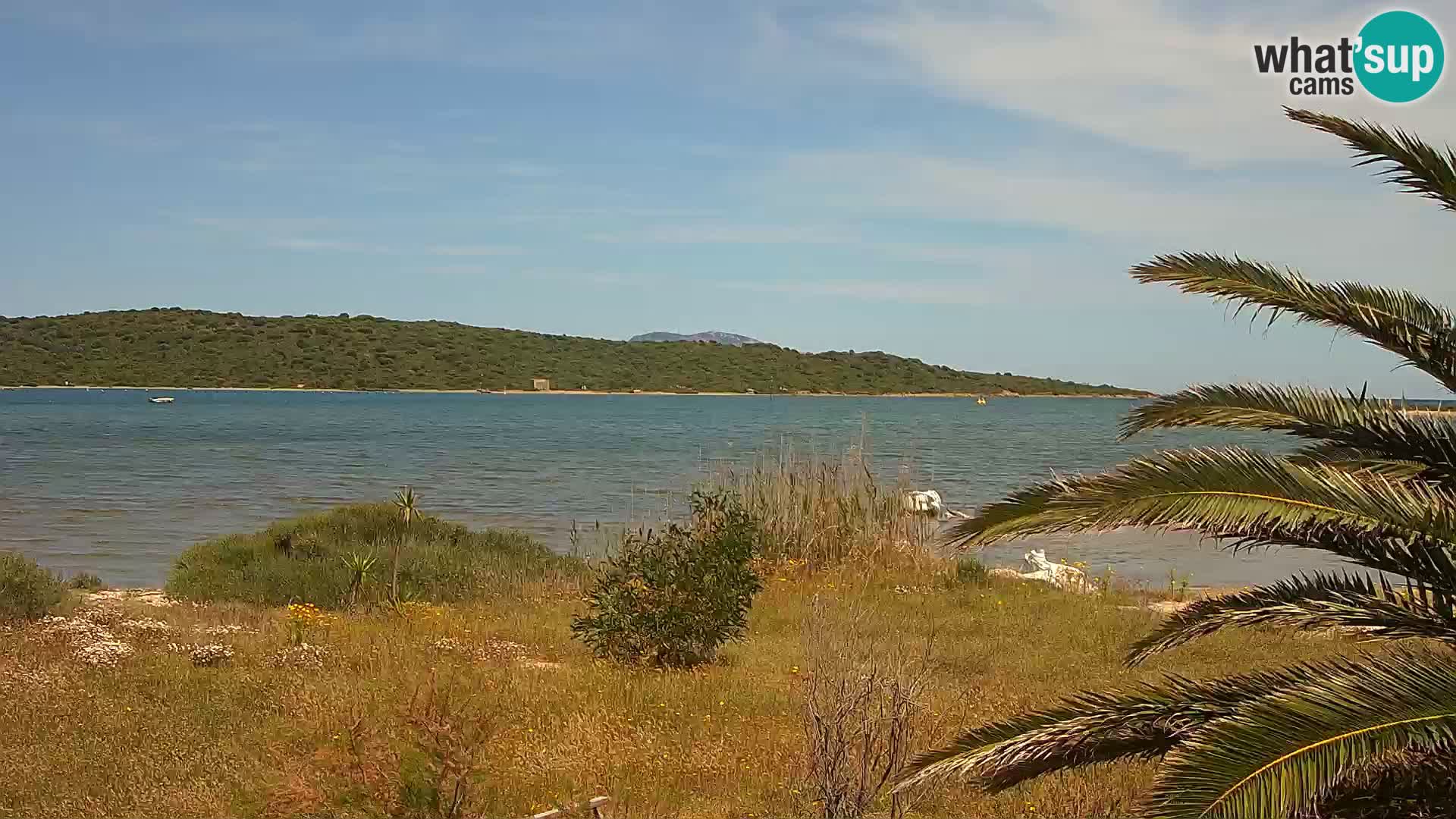 Webcam porto di Olbia – entrata nel porto di Olbia