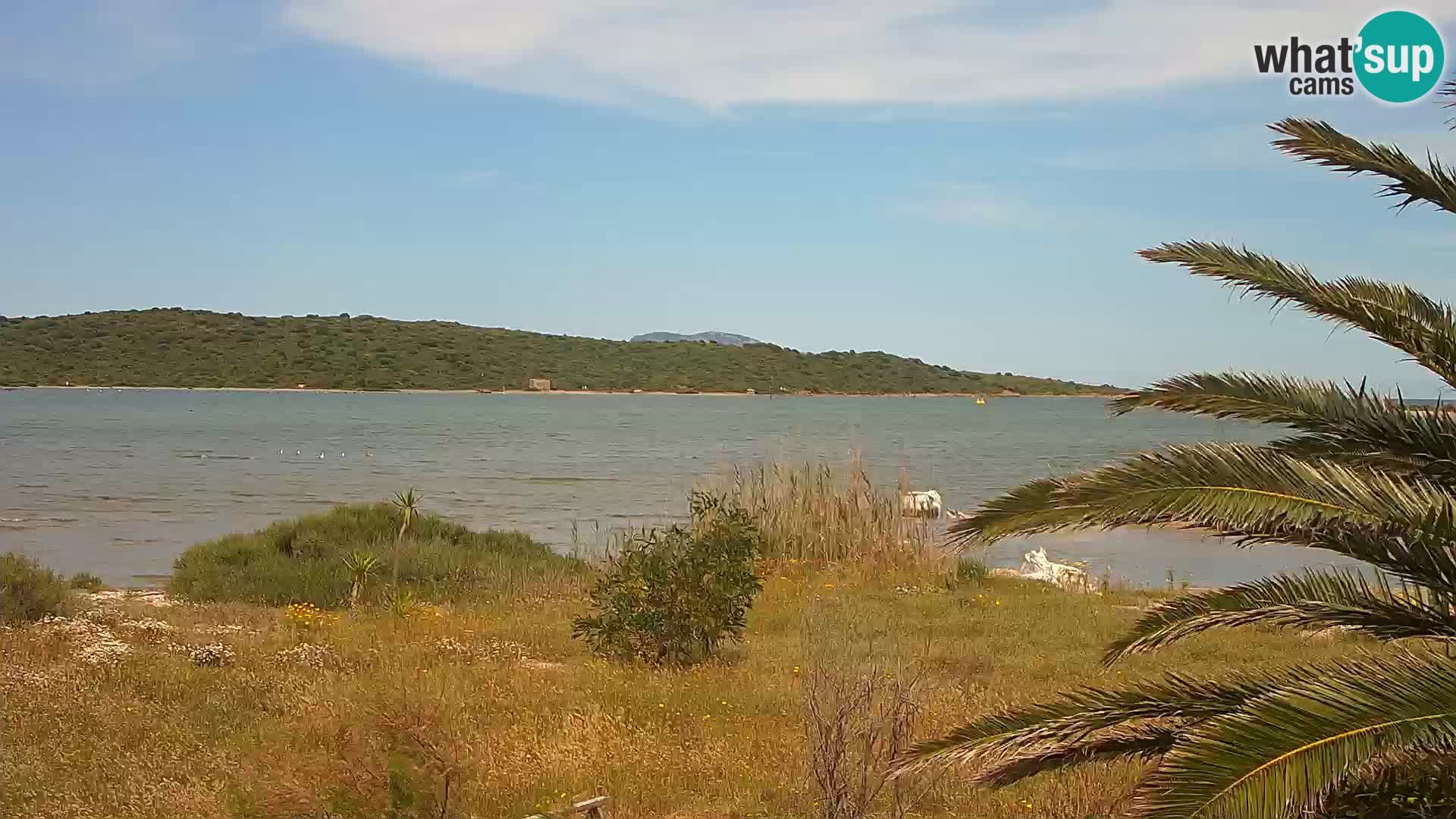 Webcam Hafen Olbia – Eingang zum Hafen von Olbia