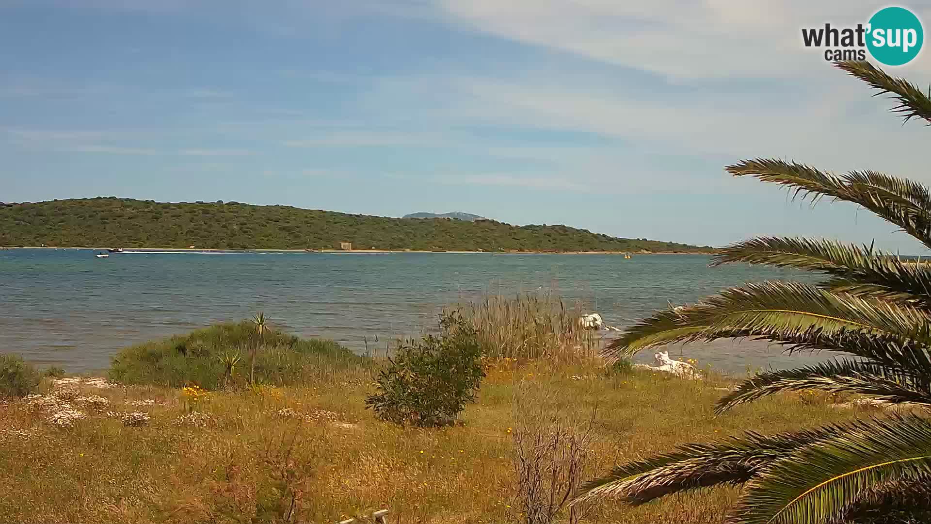 Webcam porto di Olbia – entrata nel porto di Olbia