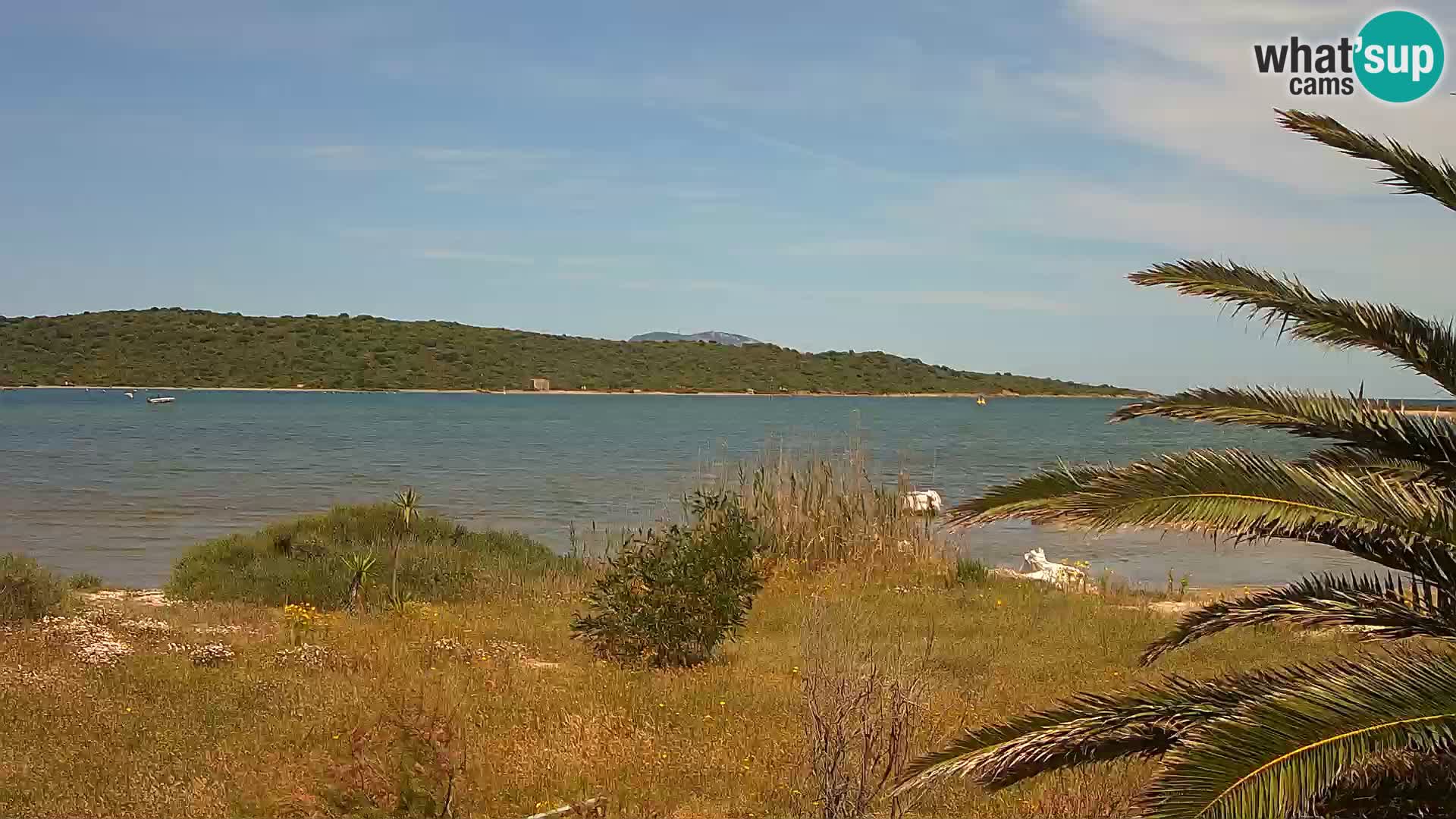 Web kamera Olbia luka – ulaz u luku Olbia