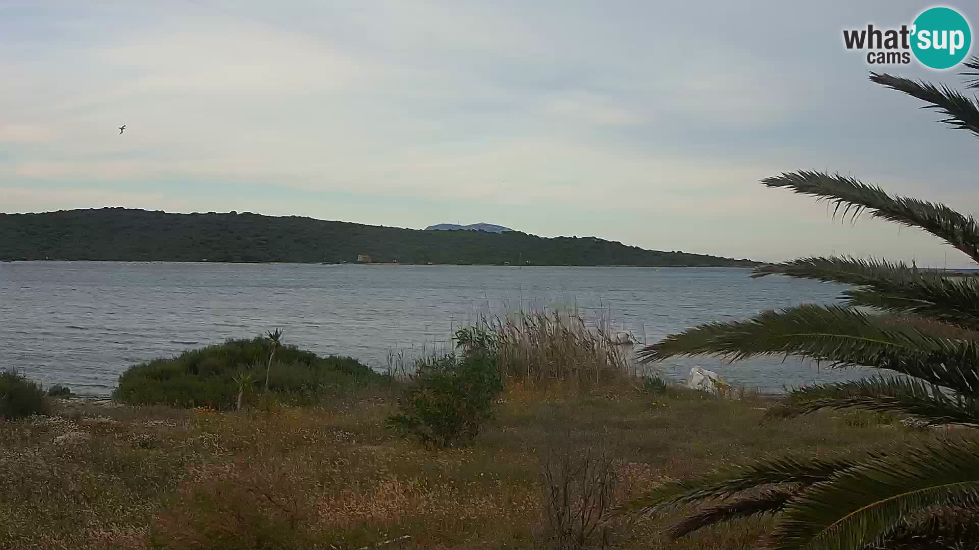 Webcam port d’Olbia – entrée du port d’Olbia