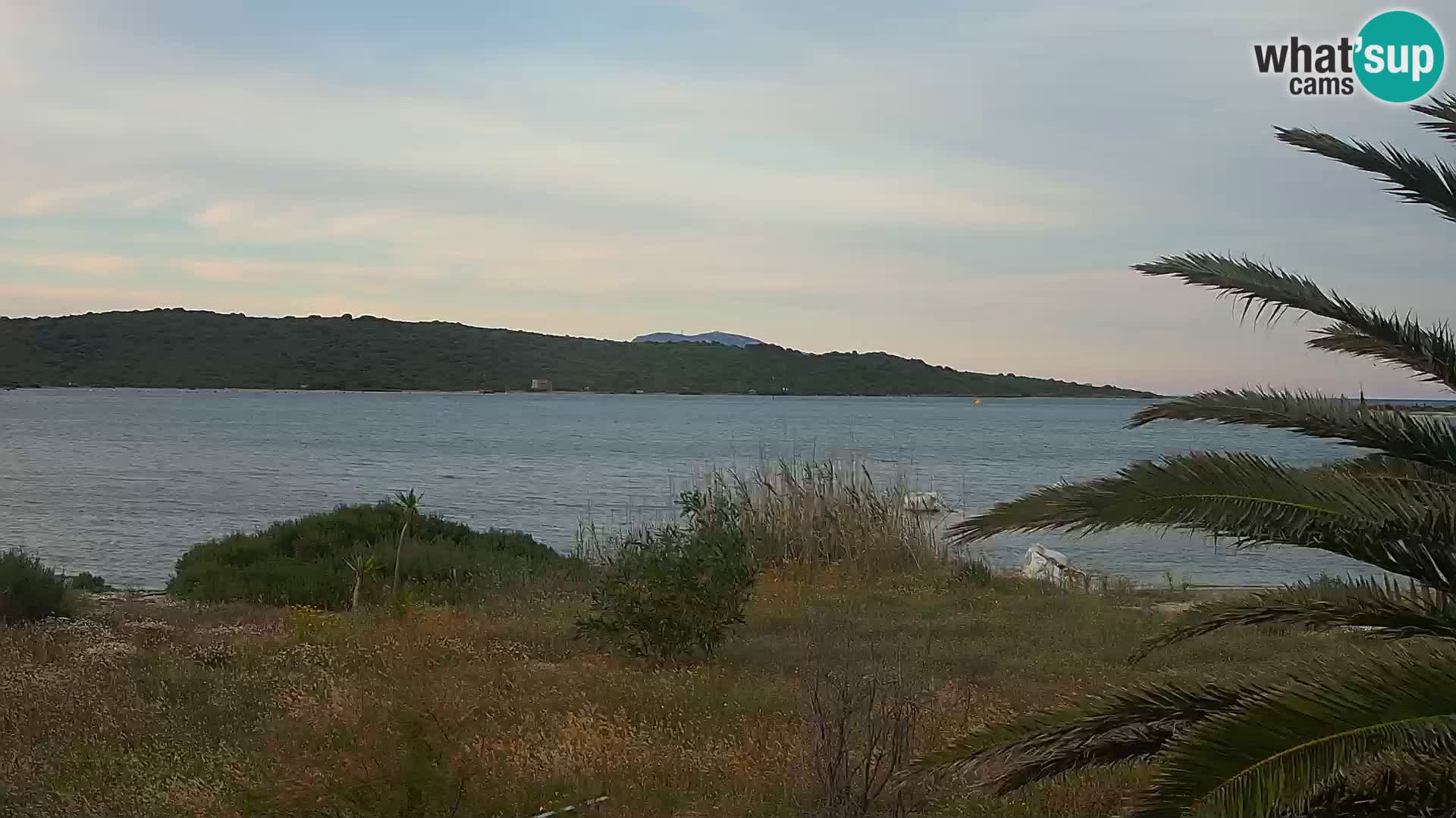 Spletna kamera pristanišče Olbia – vhod v pristanišče Olbia